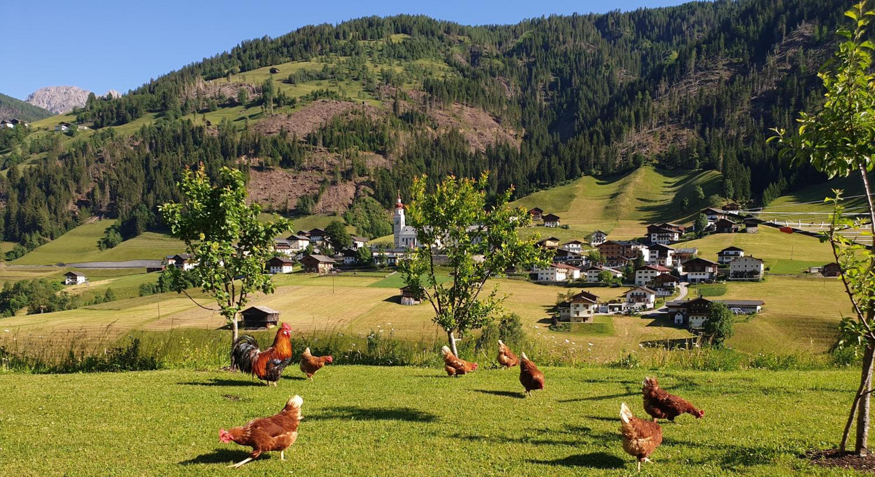 Mooserhof