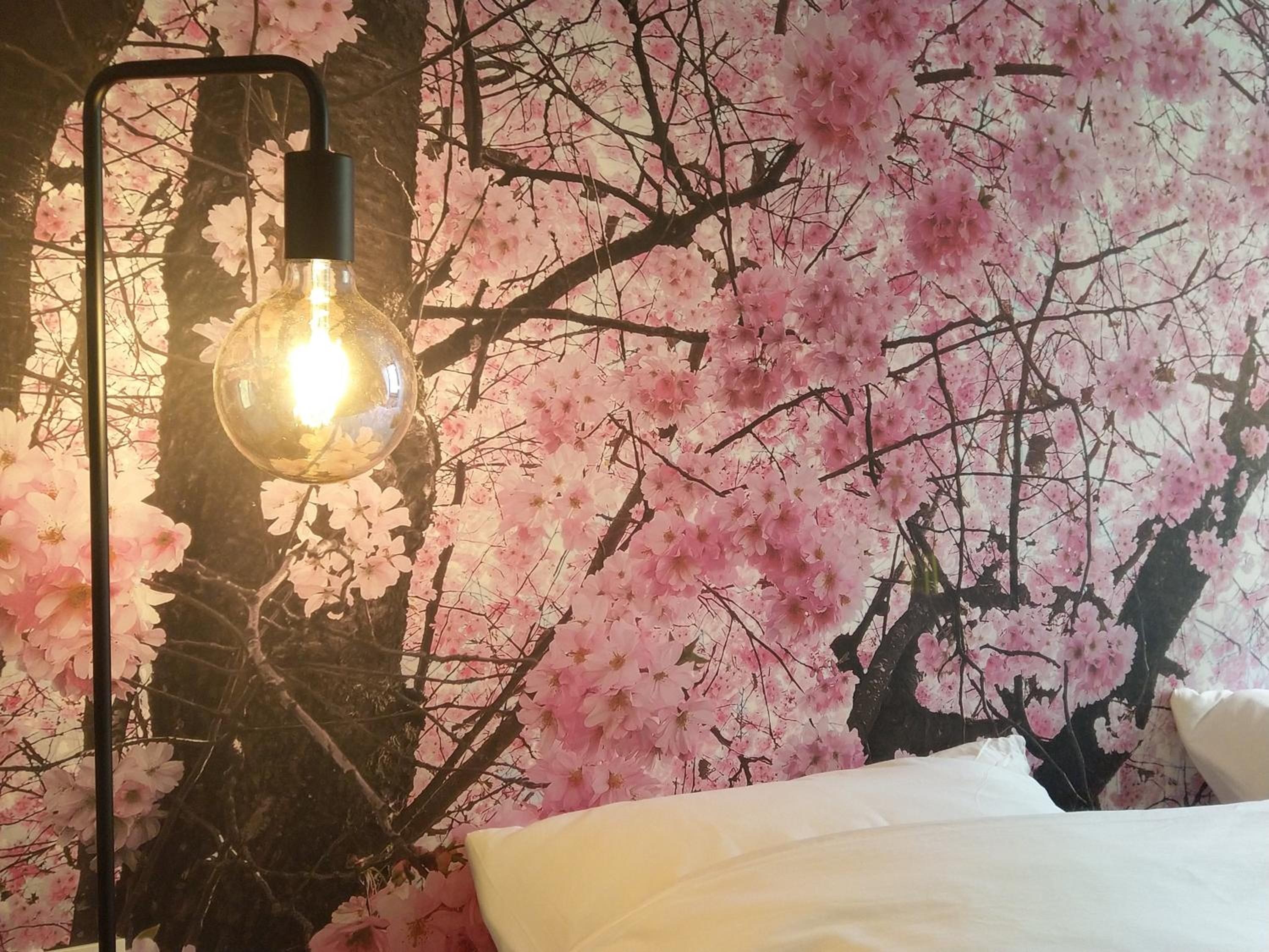 B&B Tantine