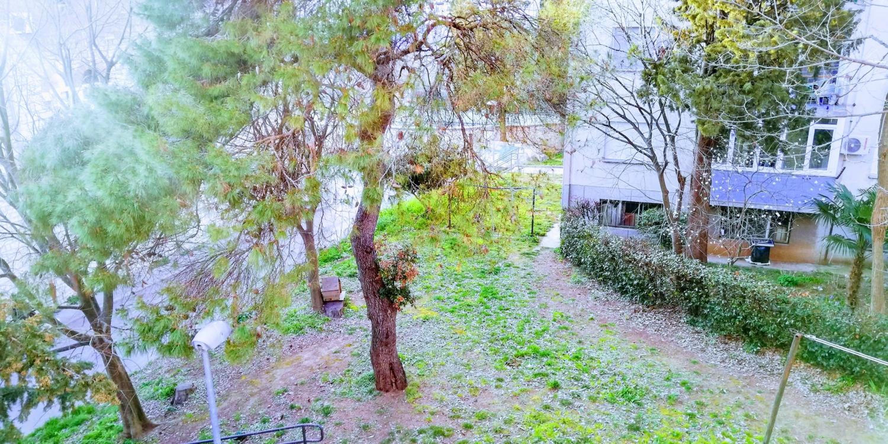 garden