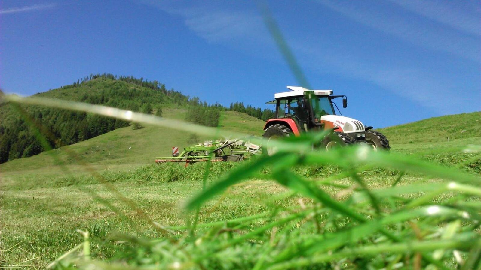 Ferienwohnung Thurn-ummerstall