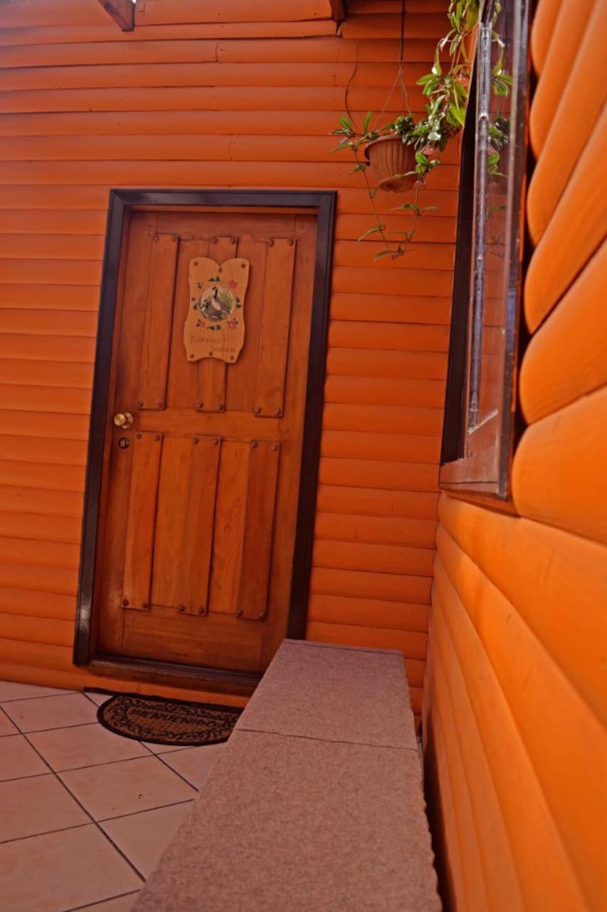 Cabañas Las Puconinas