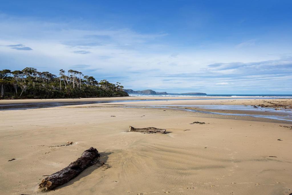 Surfinn Eco Cottage - Papatowai Cottage, photo 17