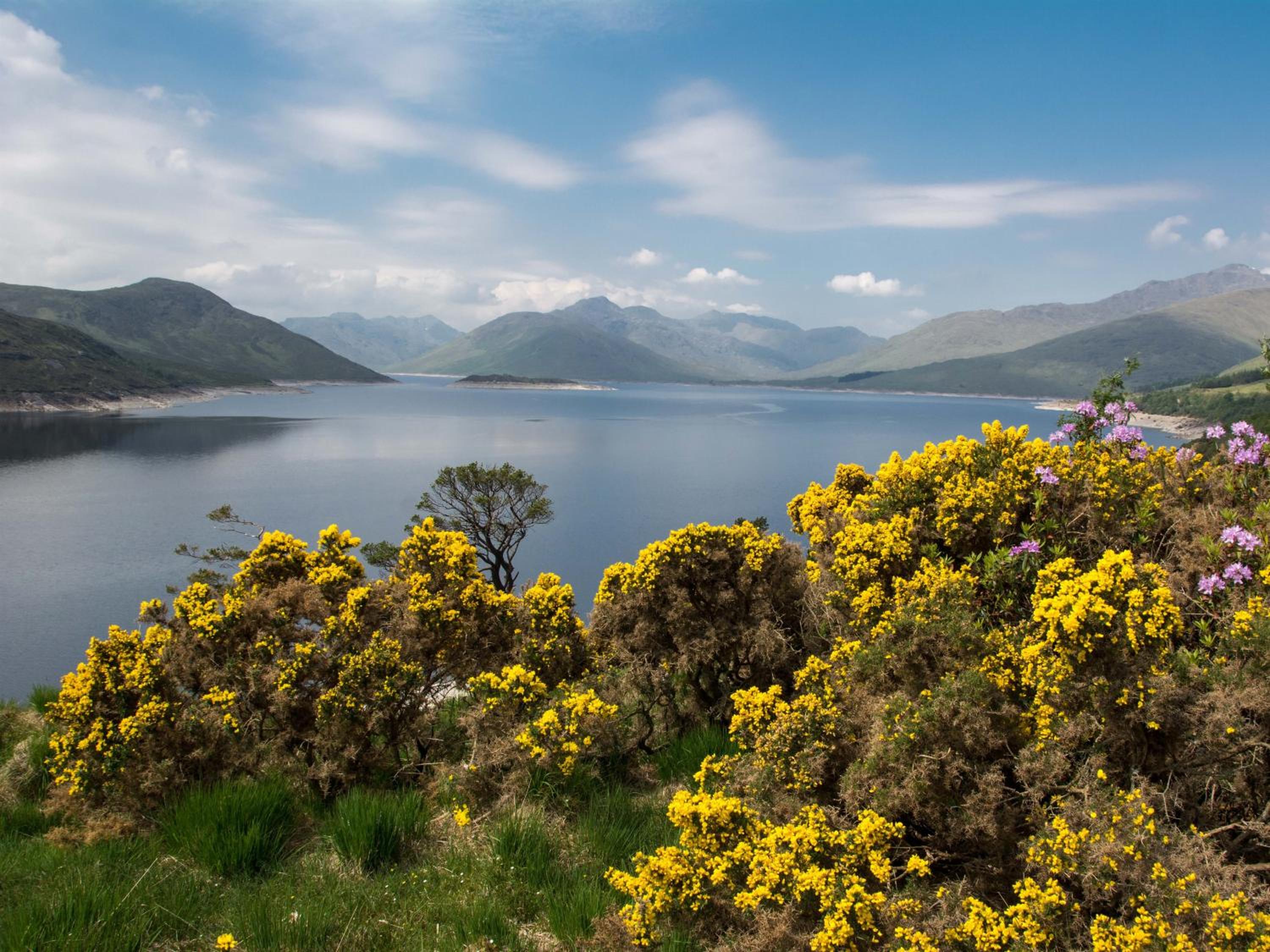Lann Dearg Studios