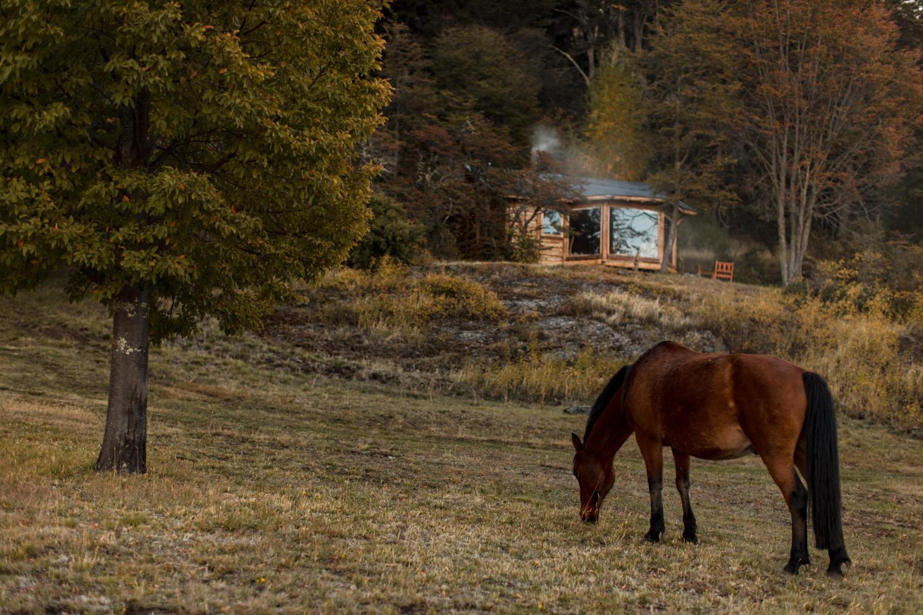 Mallin Colorado Ecolodge