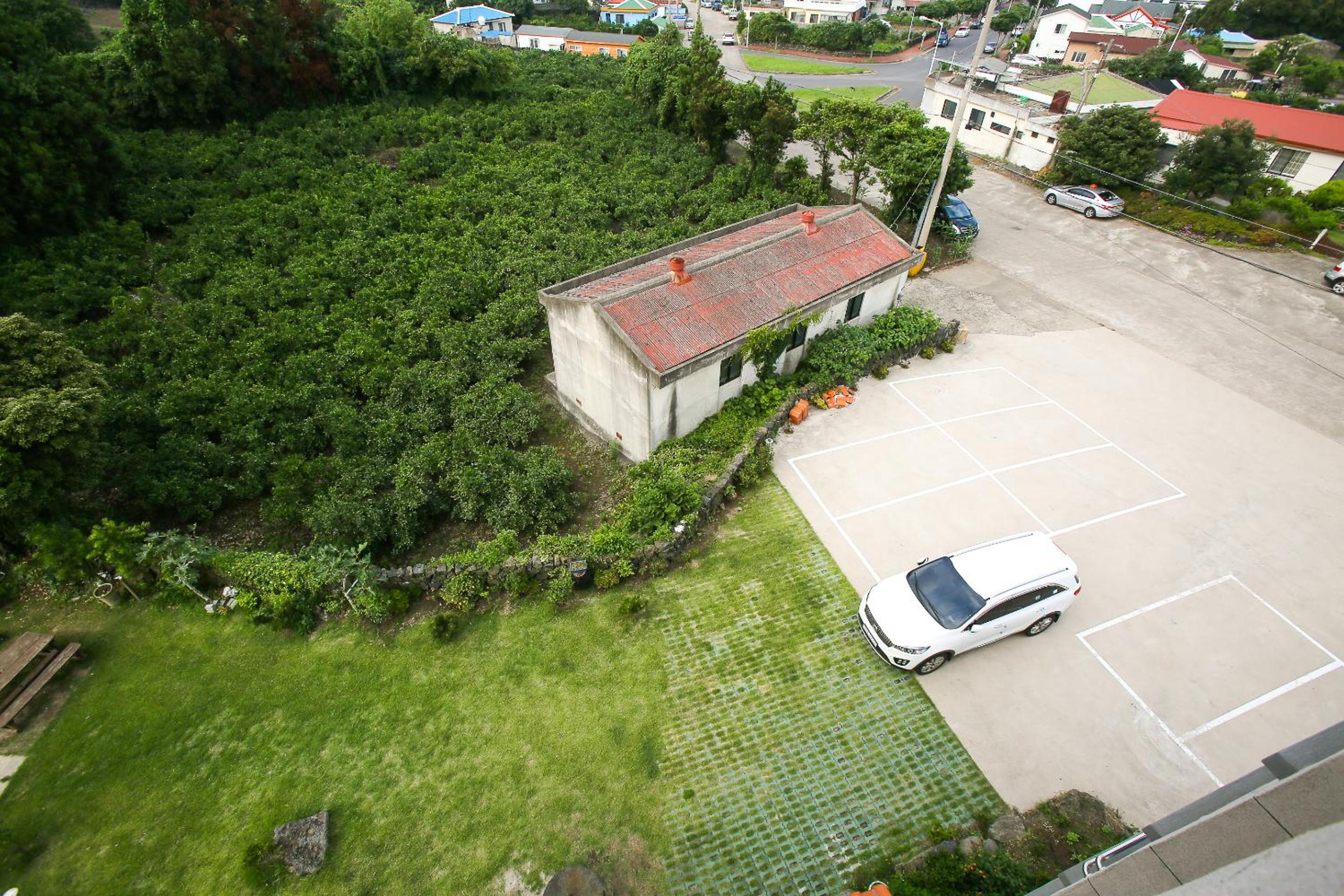 Photo 11