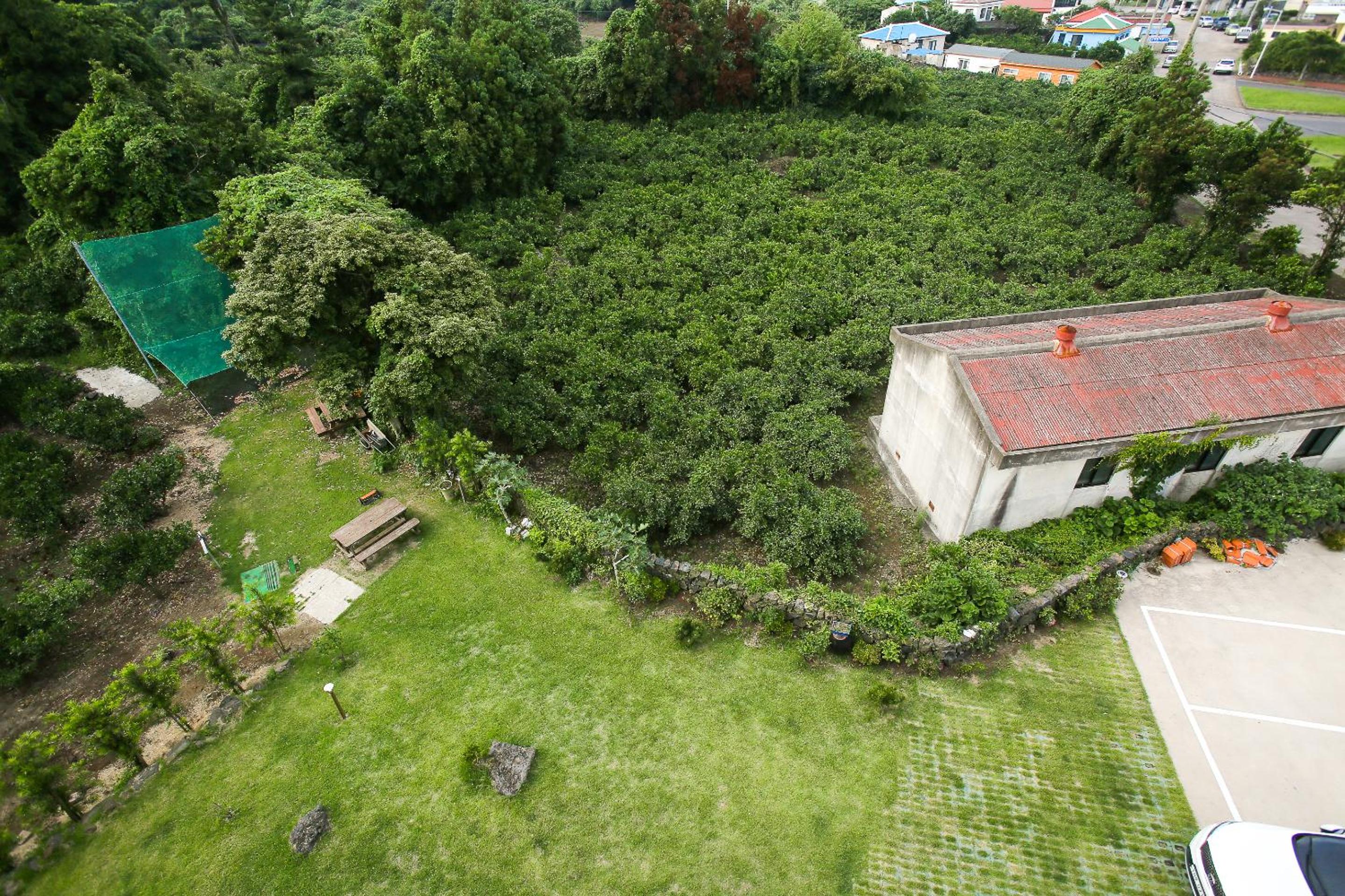 Photo 18