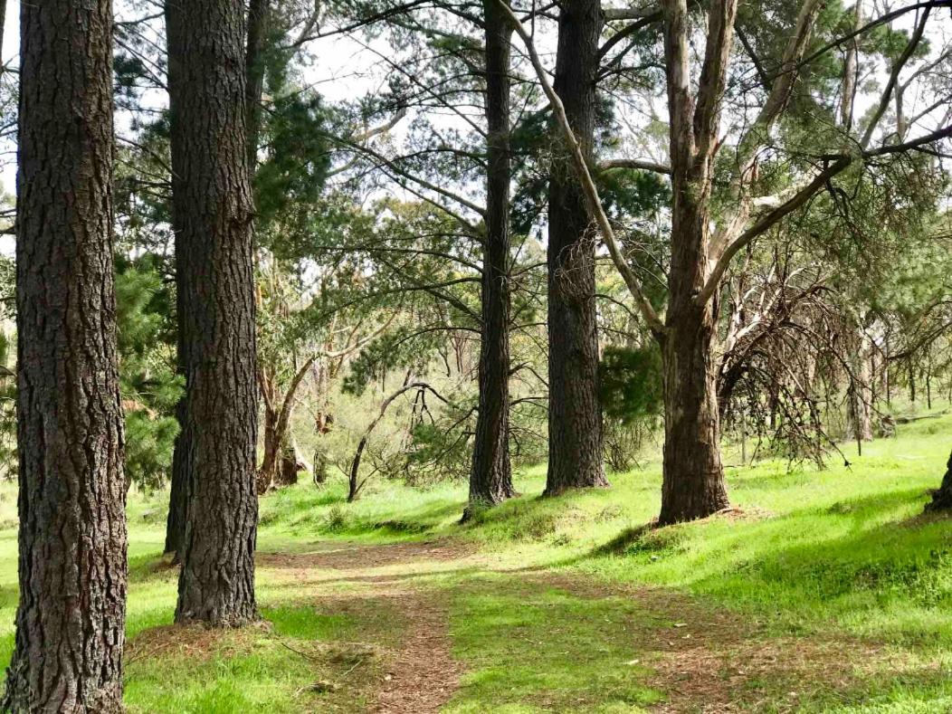 Adelaide Hills Escape
