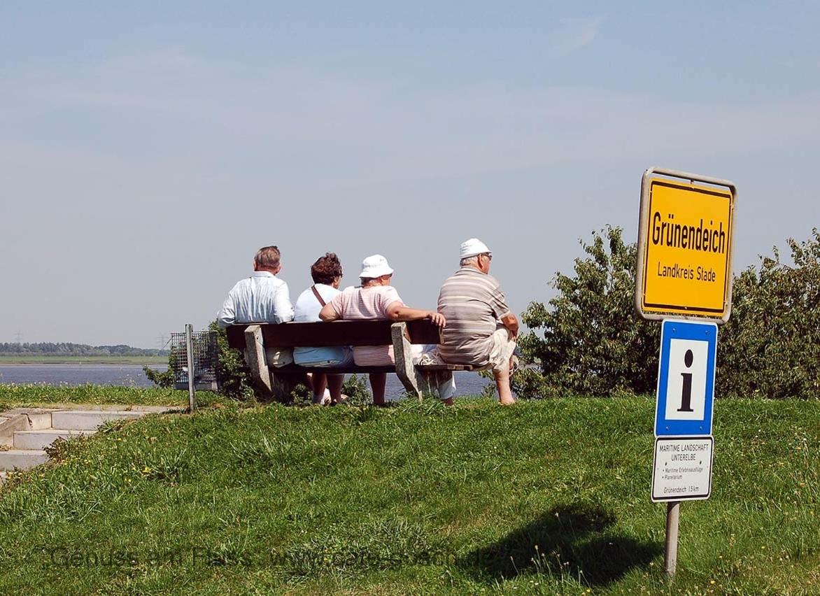 Fewo Elbblick im Haus Lühegarten