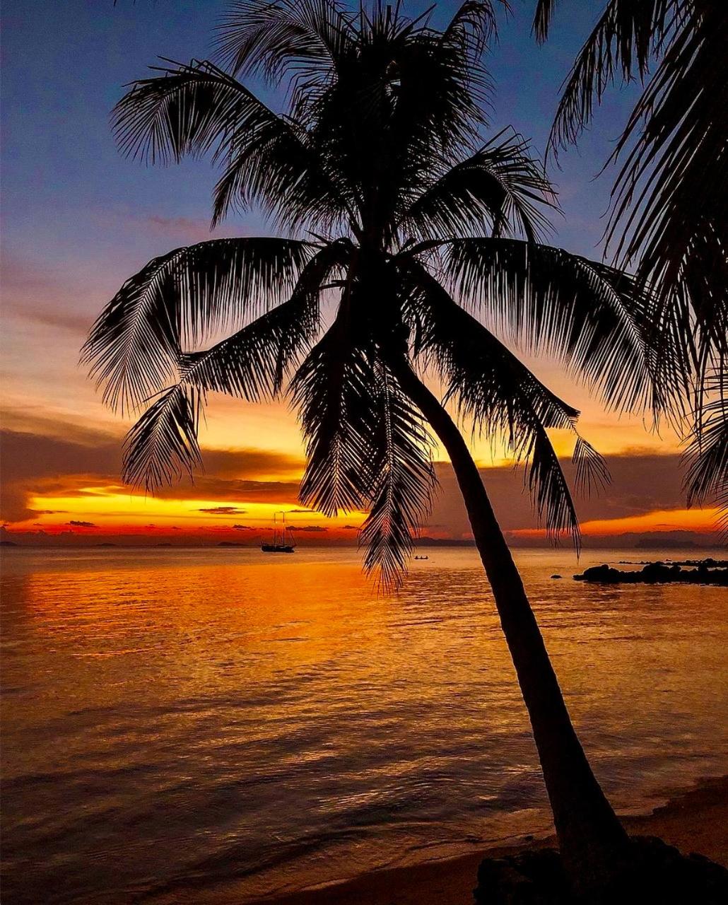 Sibaja Palms Sunset Beach Luxury Apartments