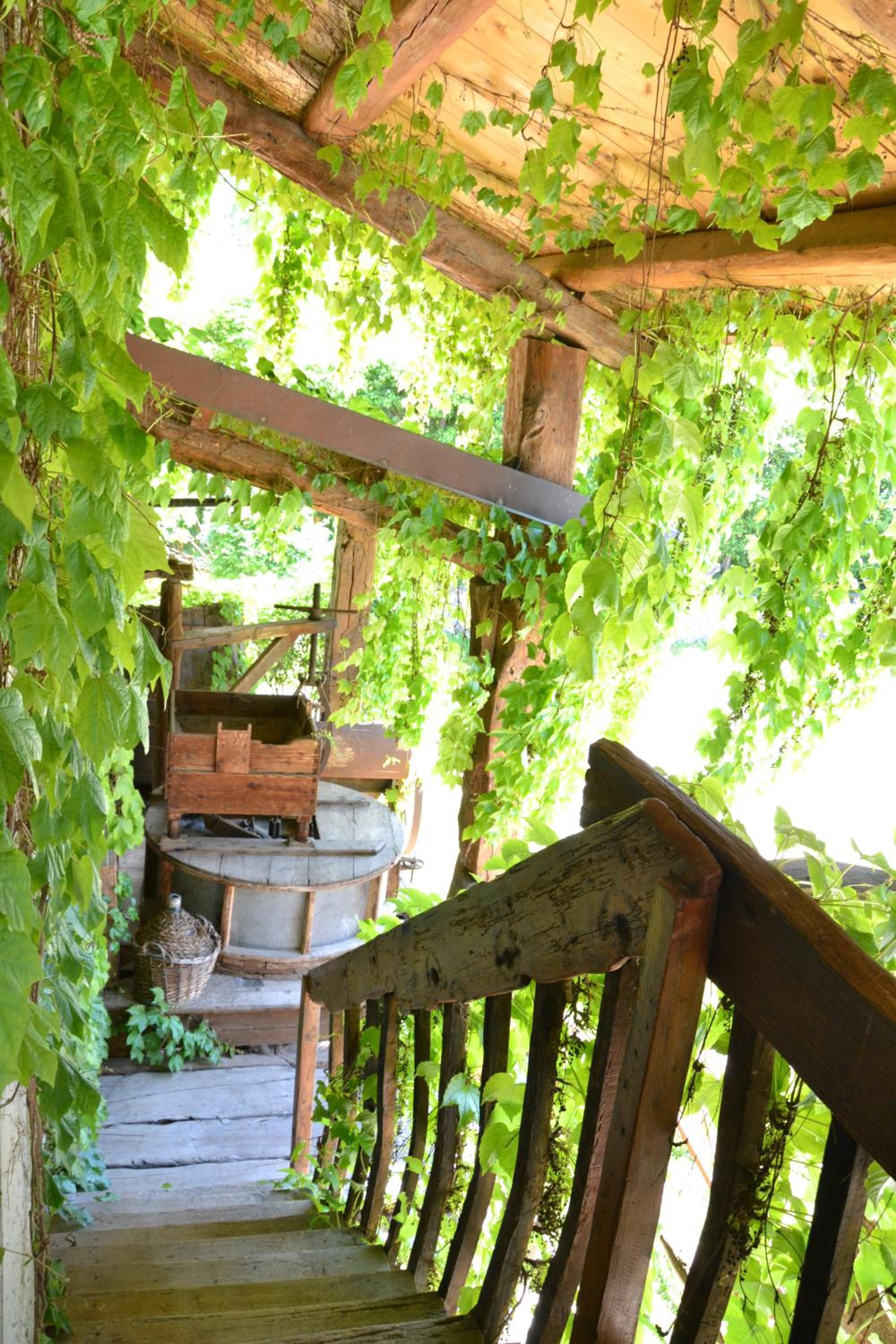 Photo 16