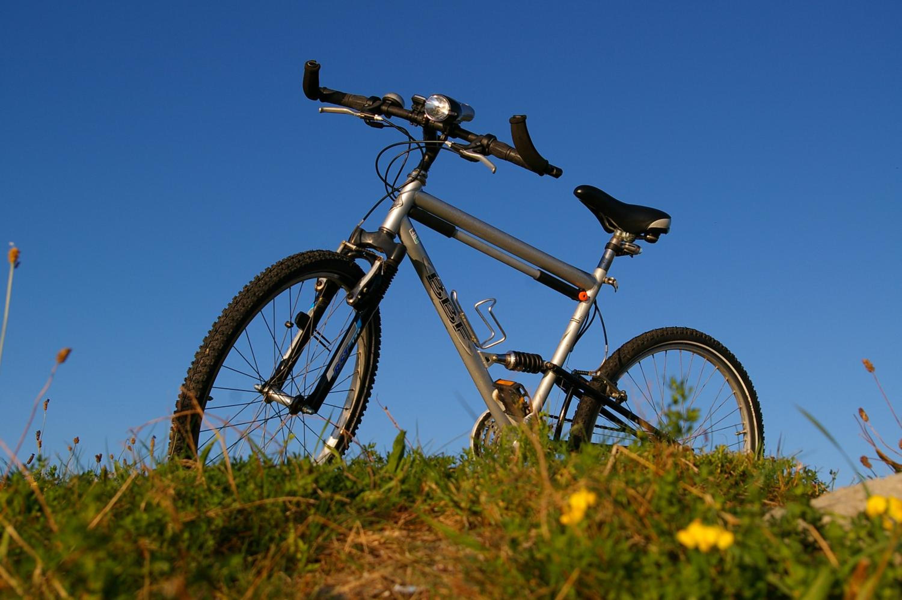 Photo 45
