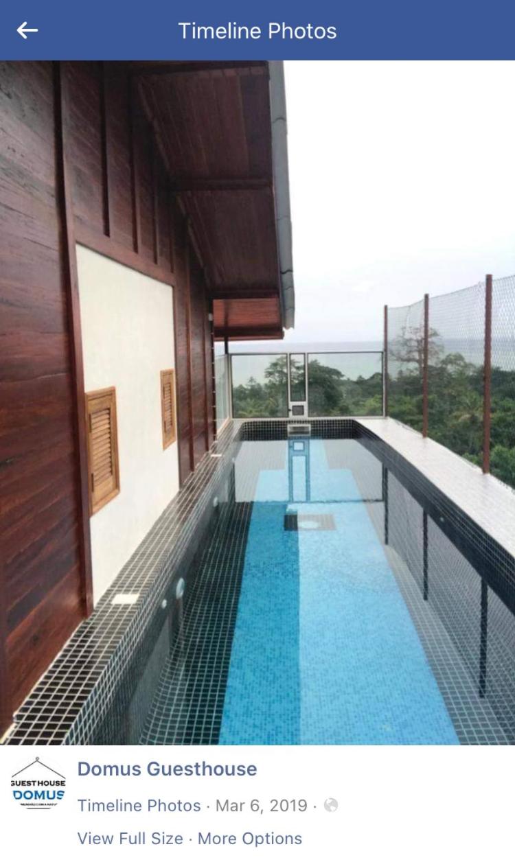Domus Guesthouse view 4
