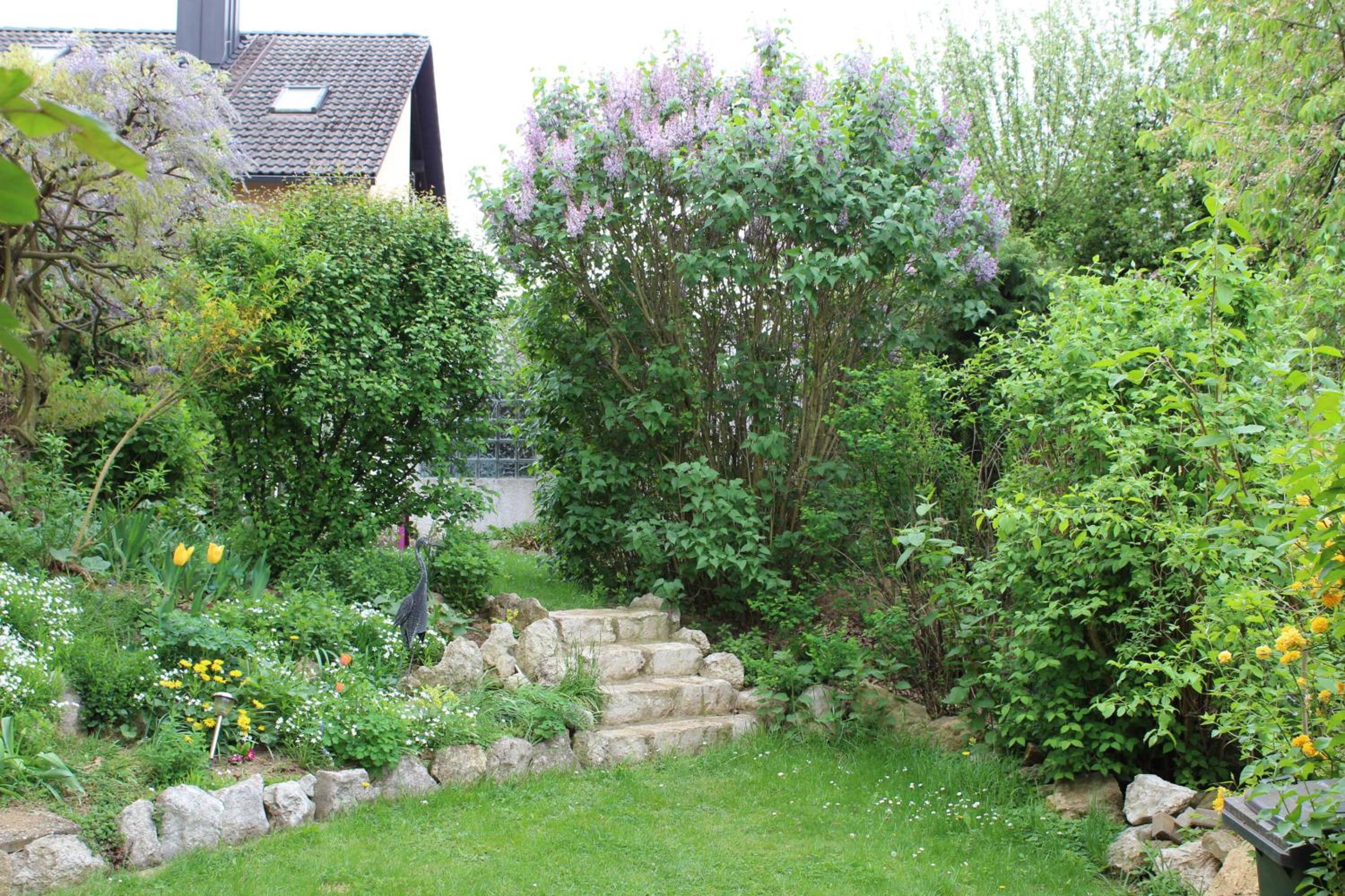 Photo 30