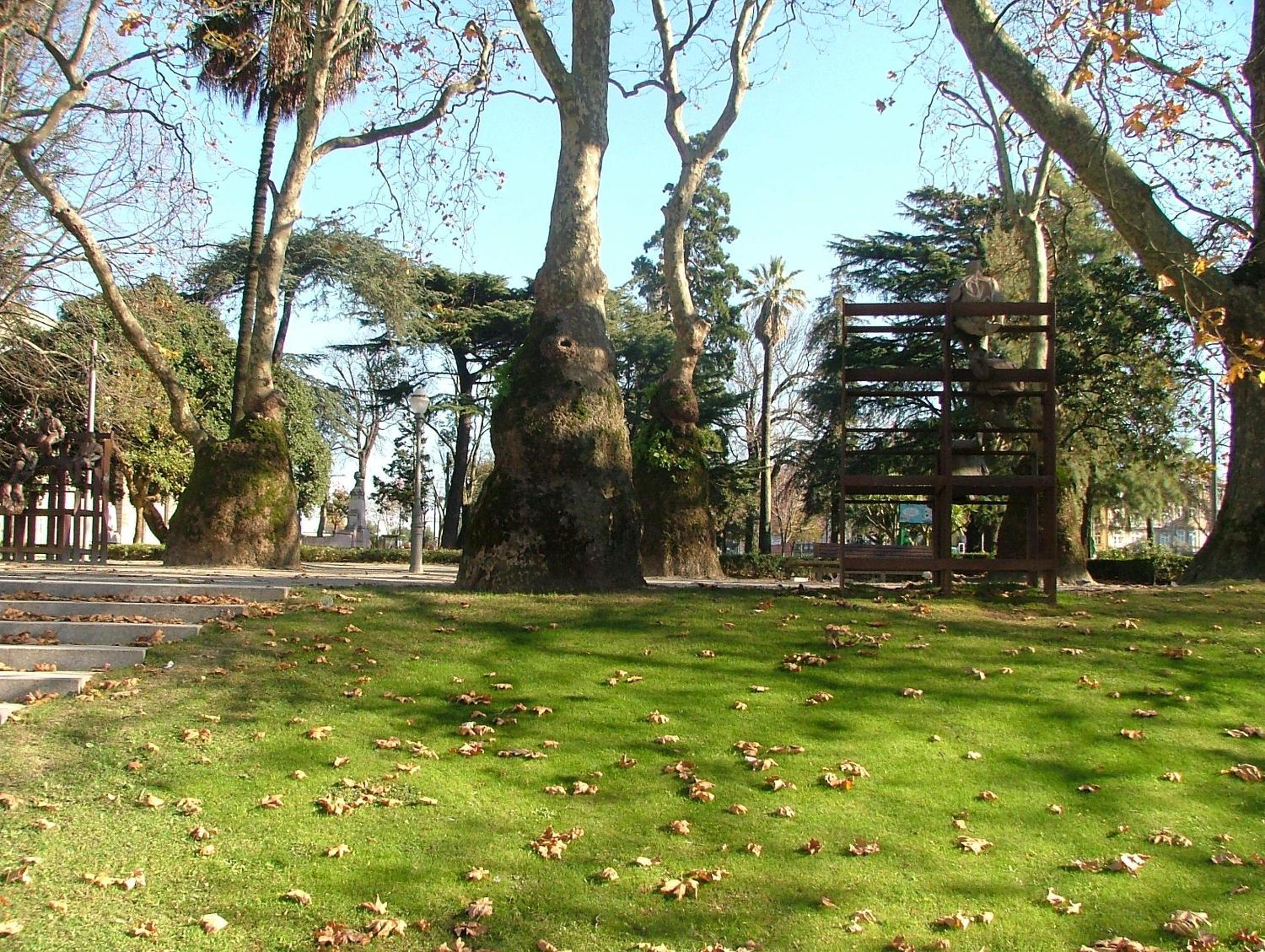 Photo 44