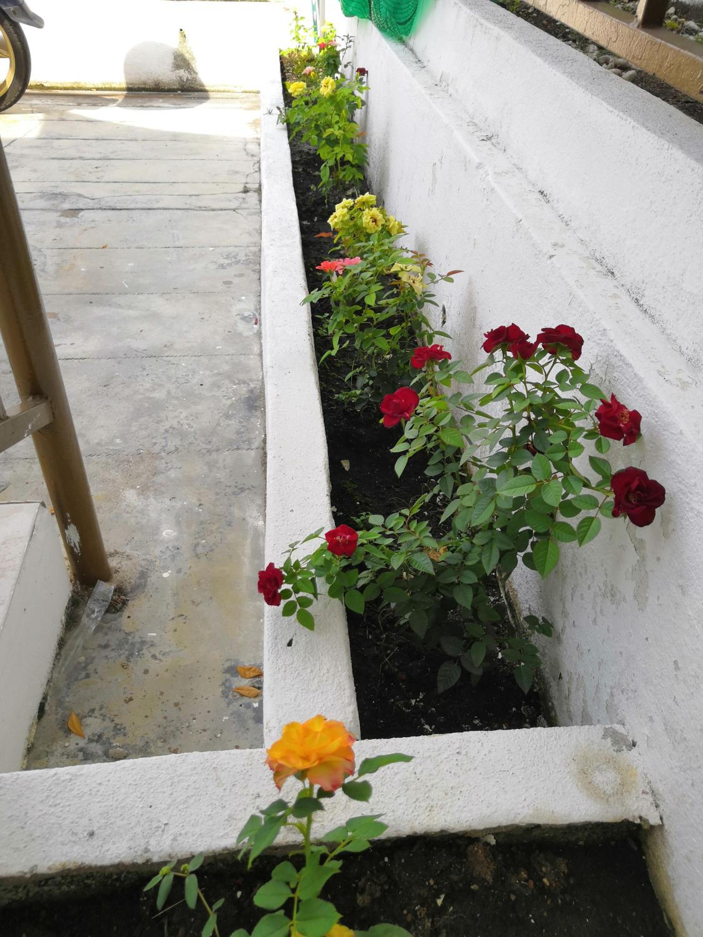 JSW Inn photo 5