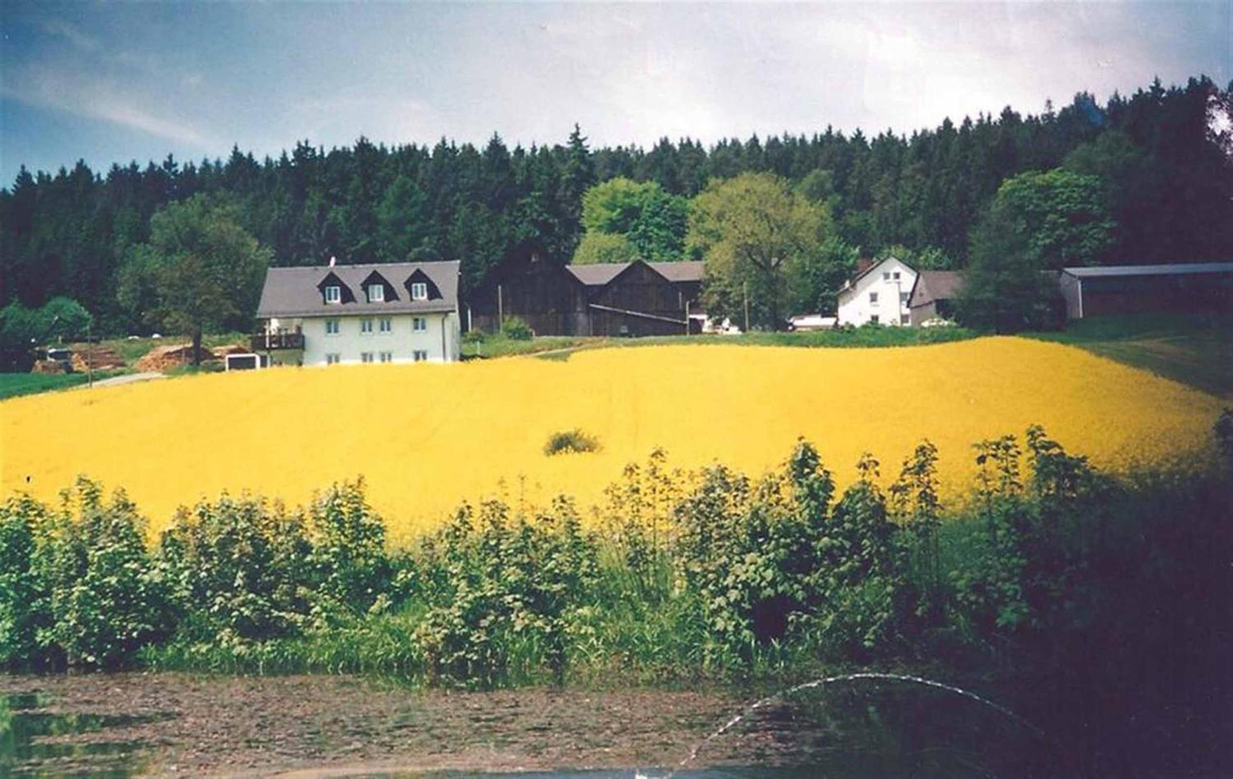 Photo 33