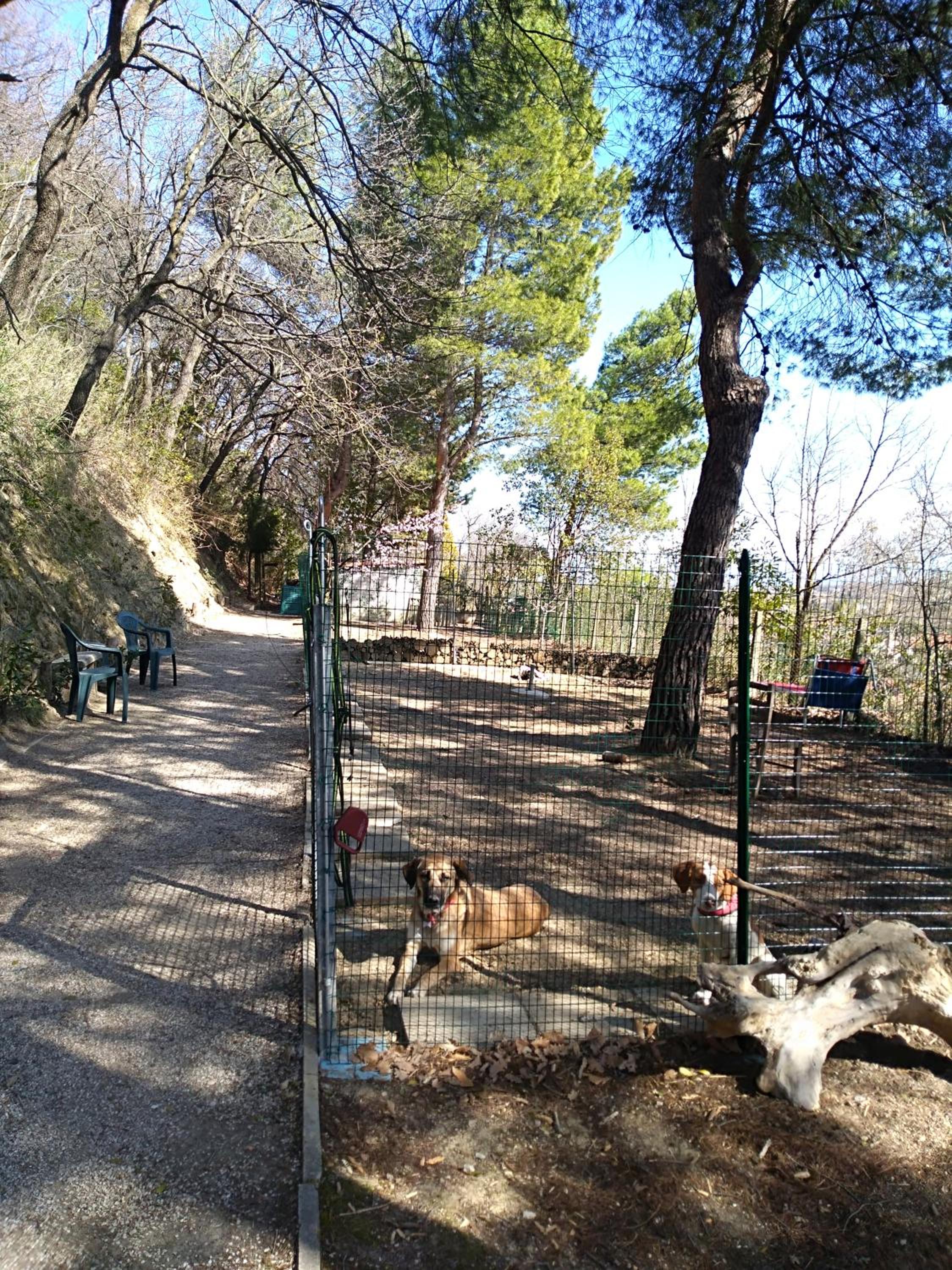 Home Meditamondo