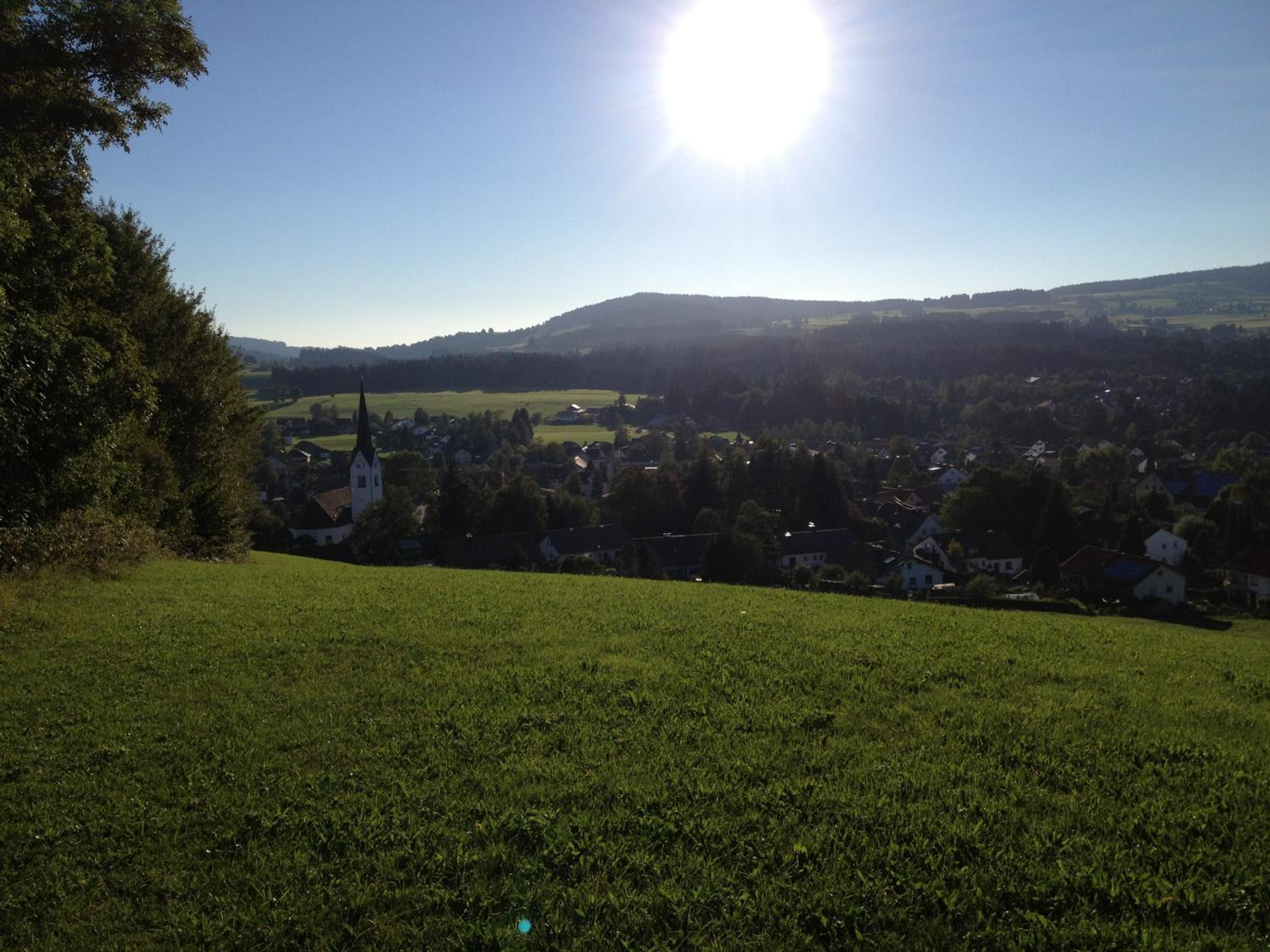 Photo 18