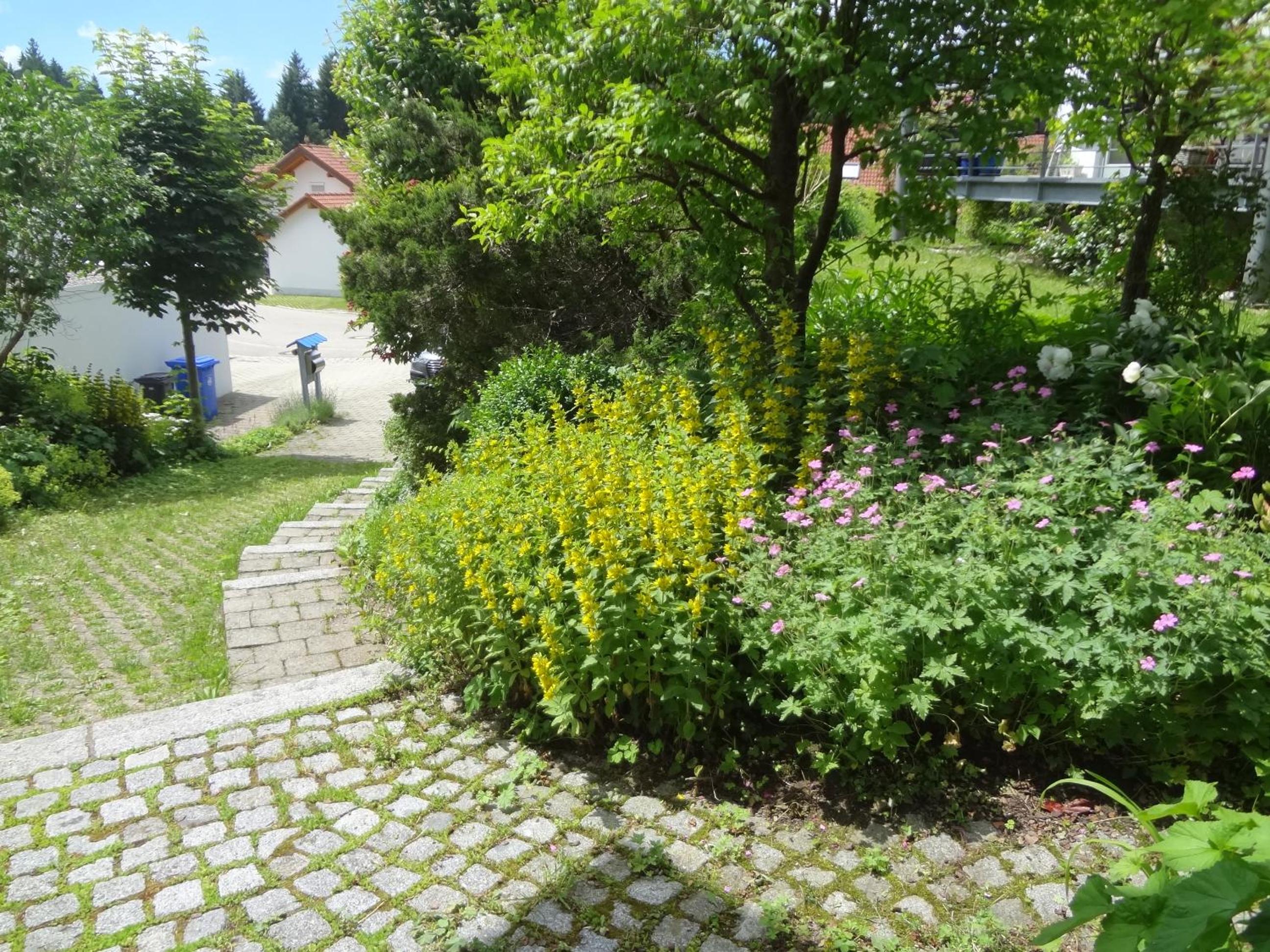 Ferienwohnung Eisele view 3