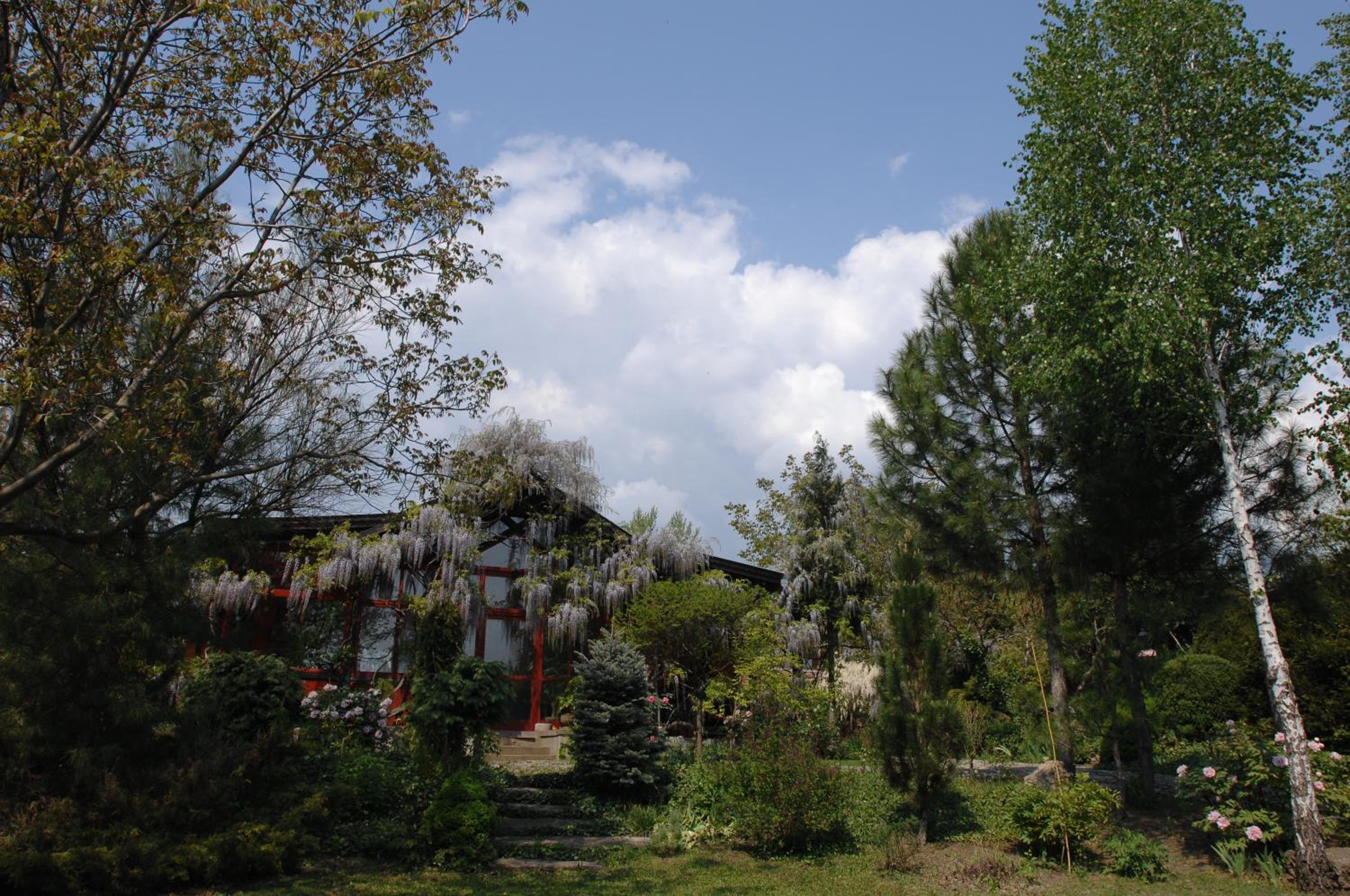 Photo 57
