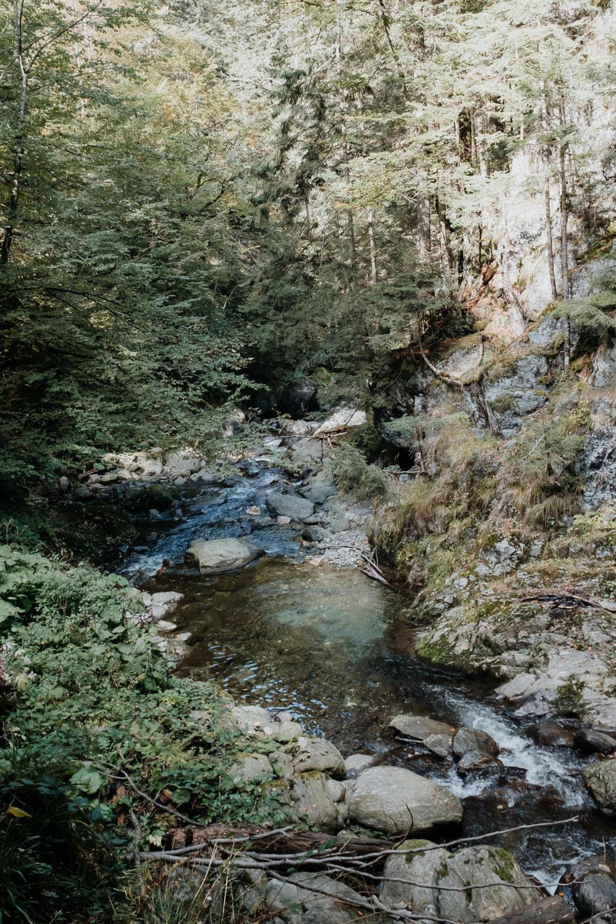Photo 48