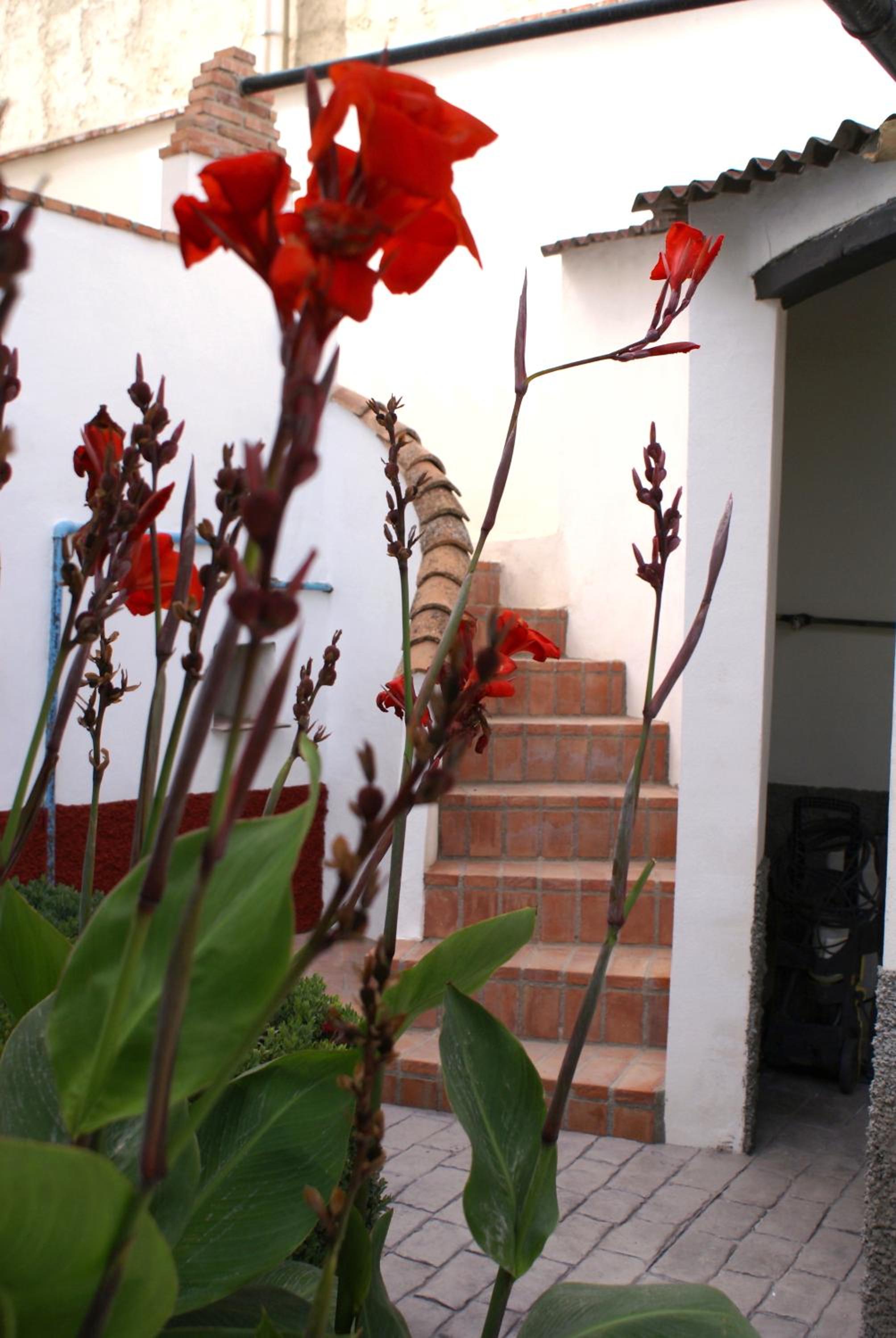 Photo 61