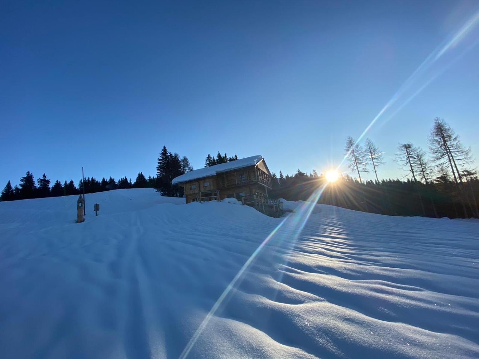Dòo避难所
