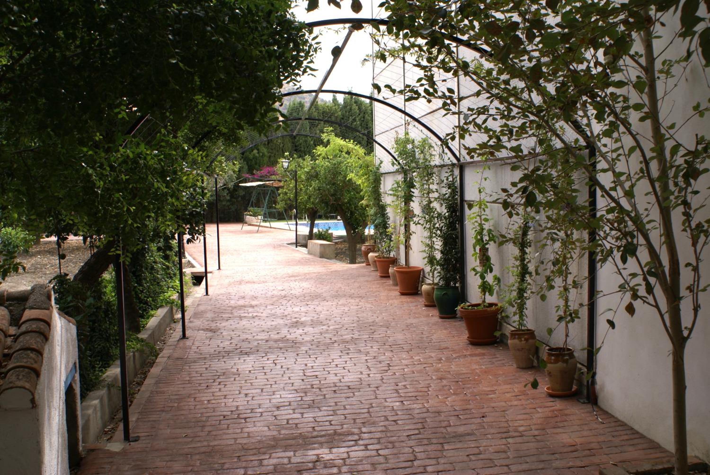 Photo 42