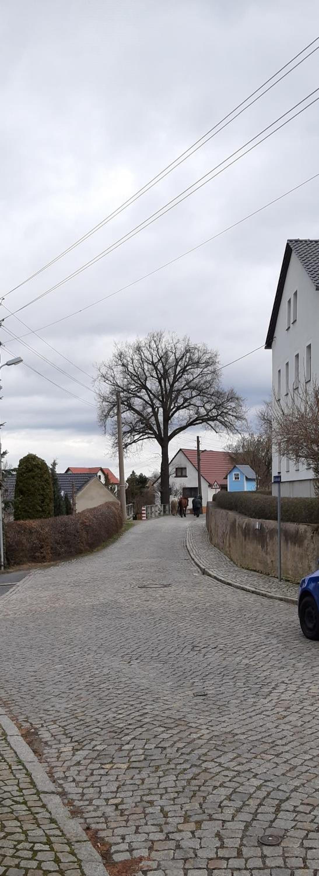 Loftwohnung beim Winzer - grün & stadtnah - Hund willkommen