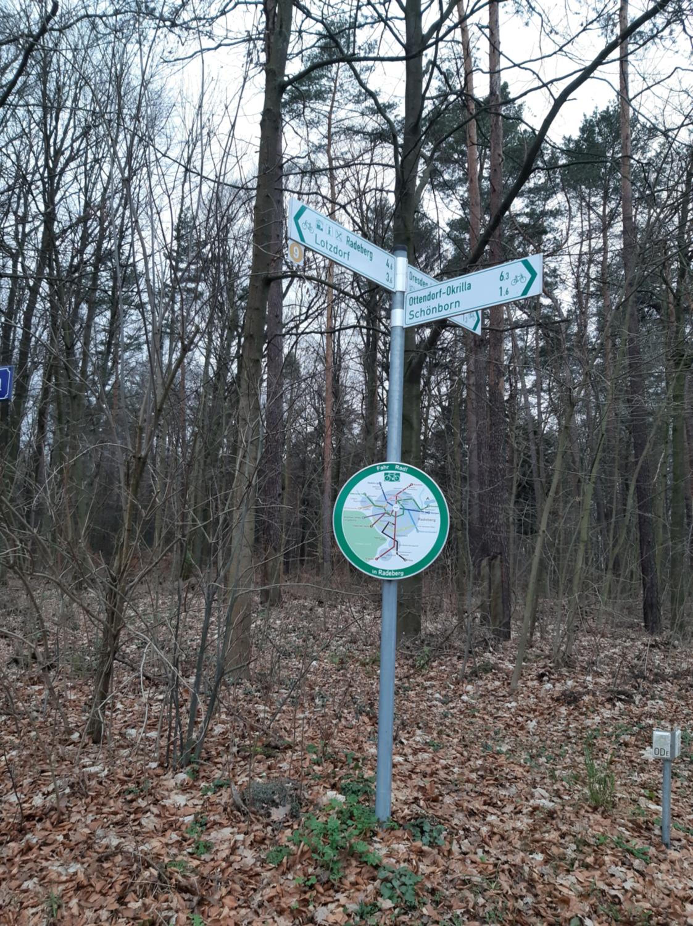 Loftwohnung beim Winzer - grün & stadtnah - Hund willkommen