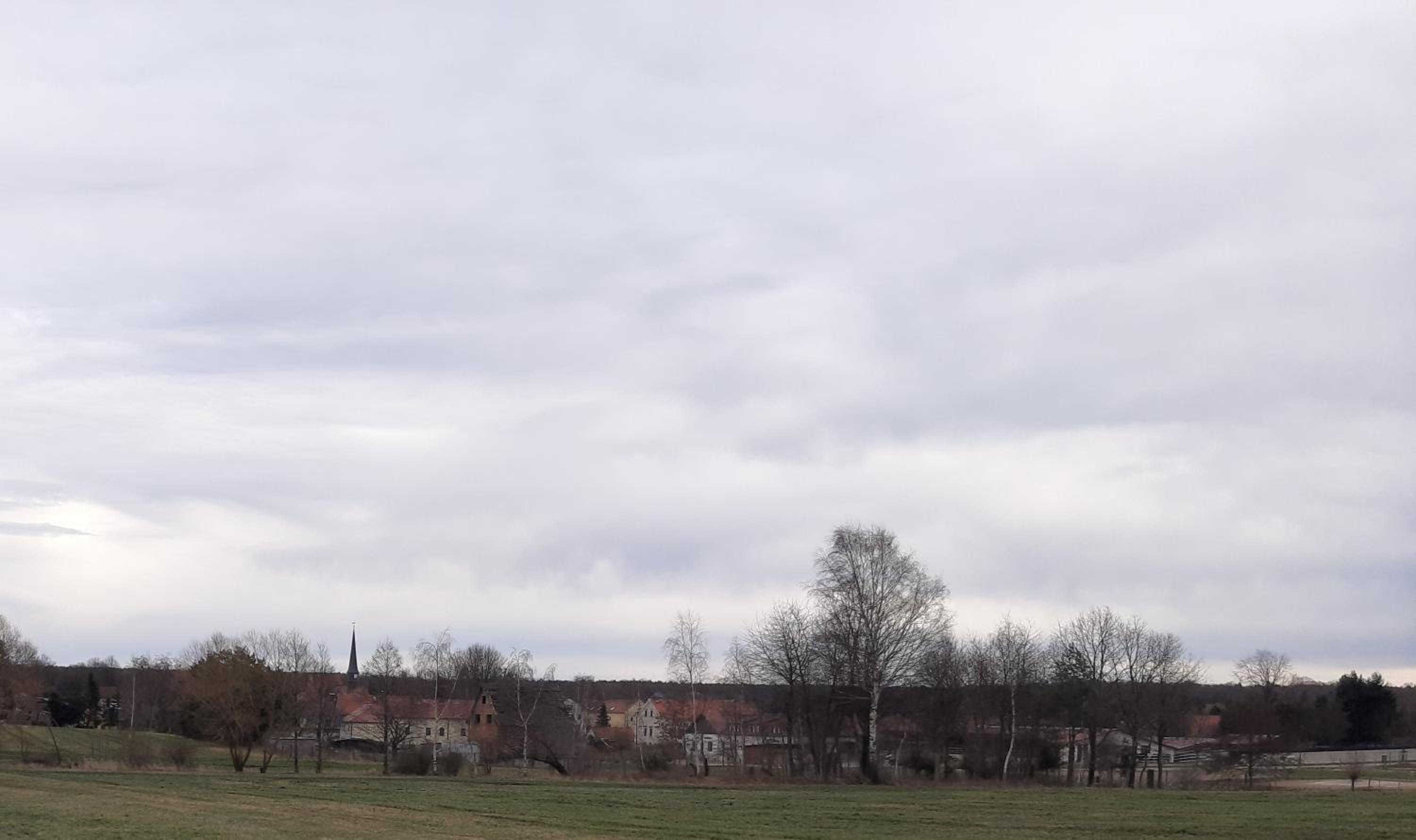 Loftwohnung beim Winzer - grün & stadtnah - Hund willkommen