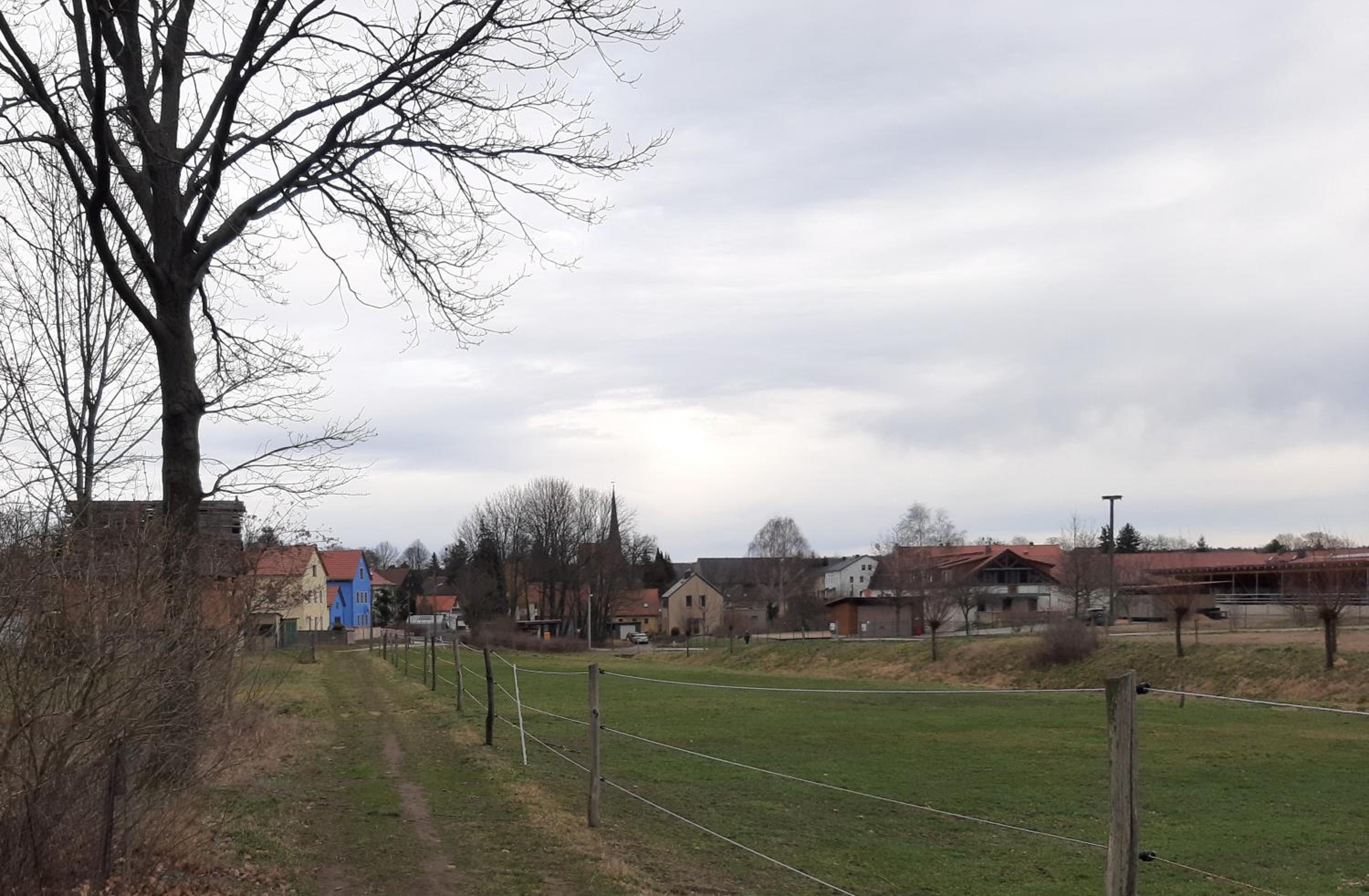 Loftwohnung beim Winzer - grün & stadtnah - Hund willkommen
