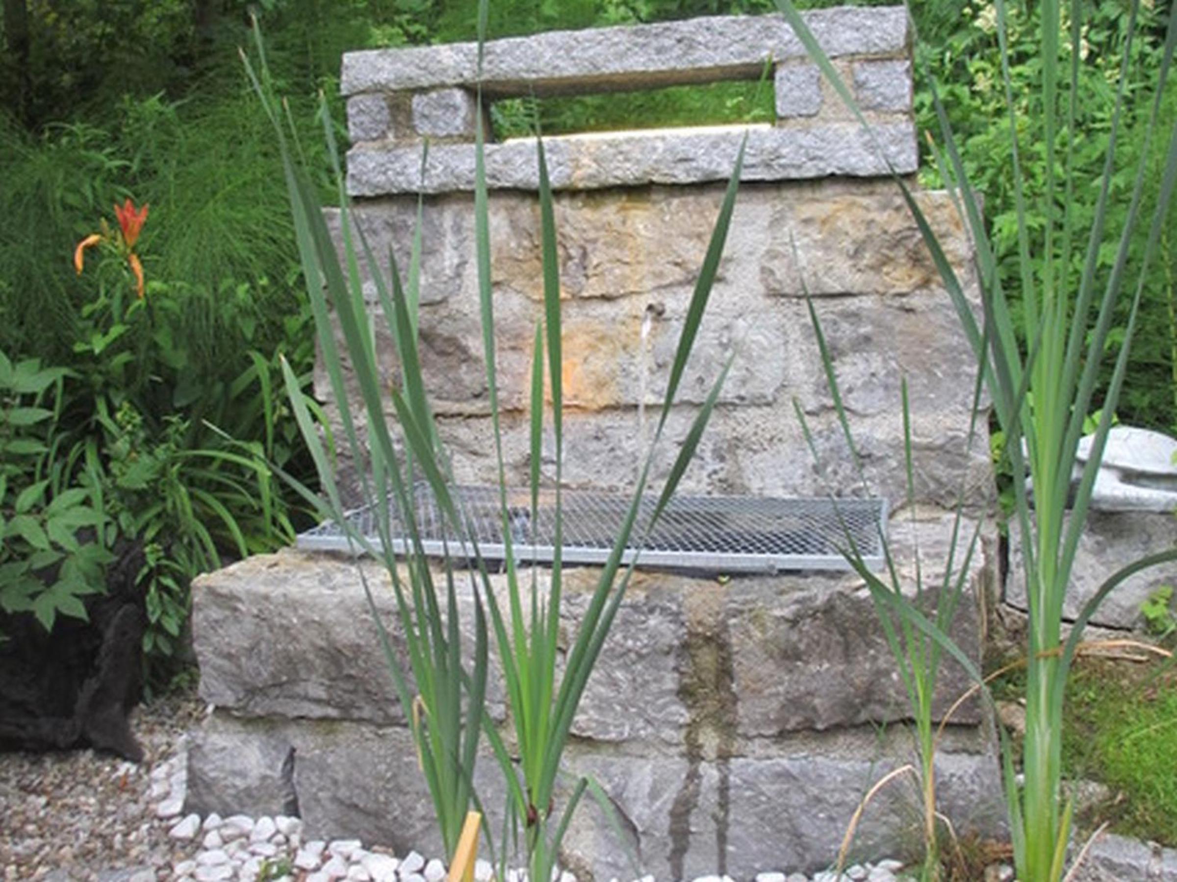 Photo 48