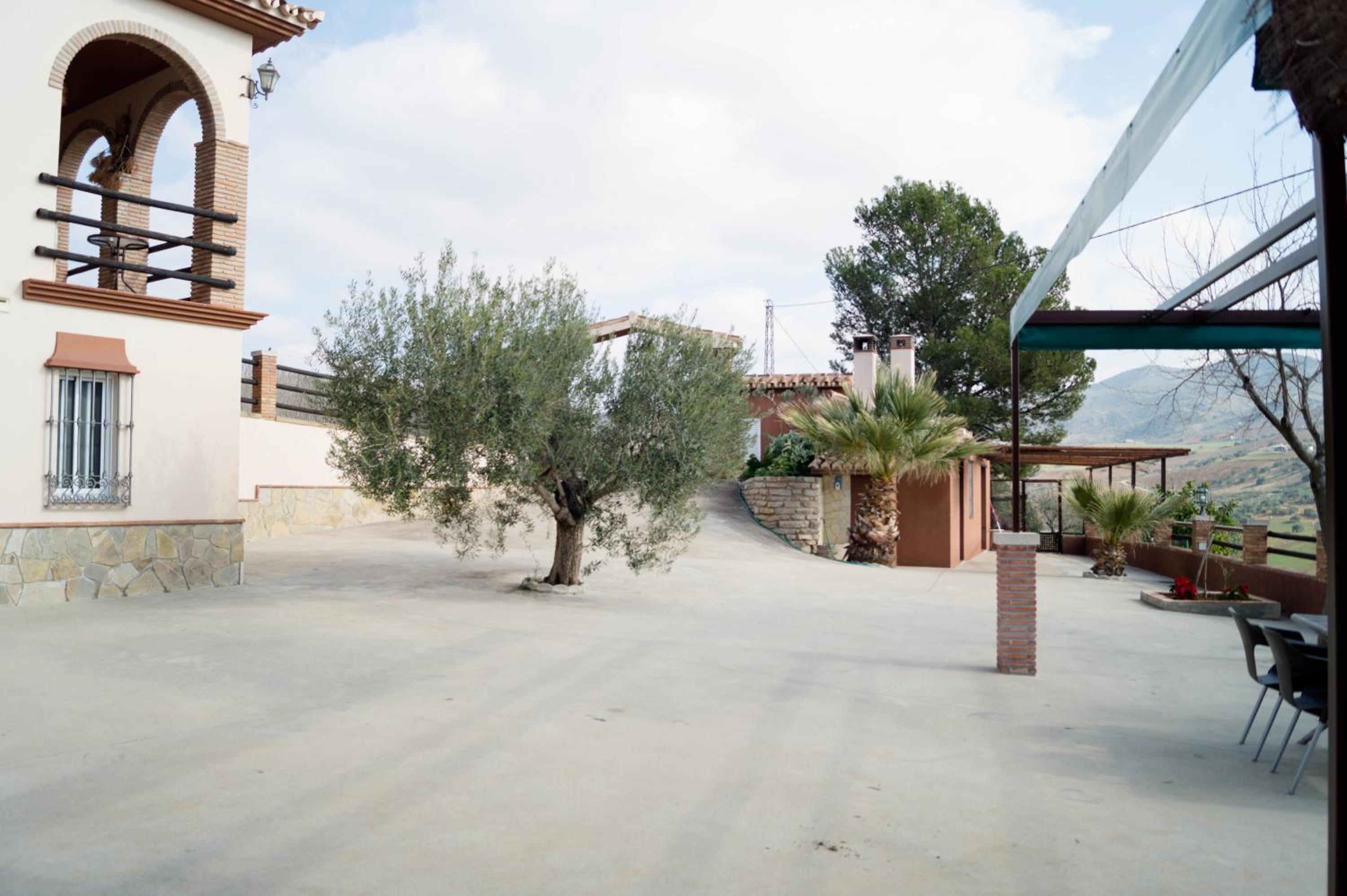 Photo 28
