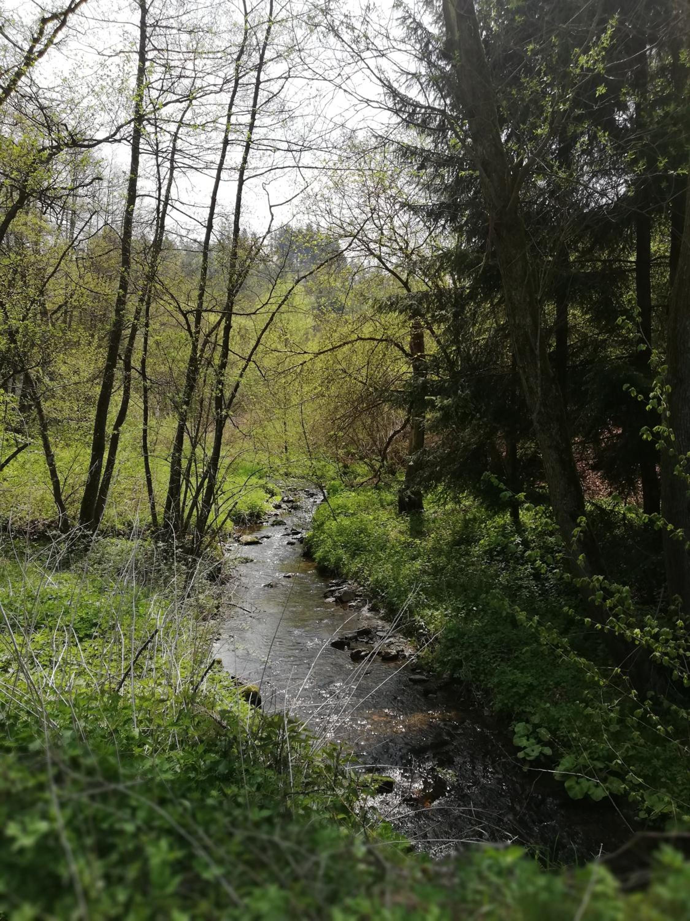 Photo 25