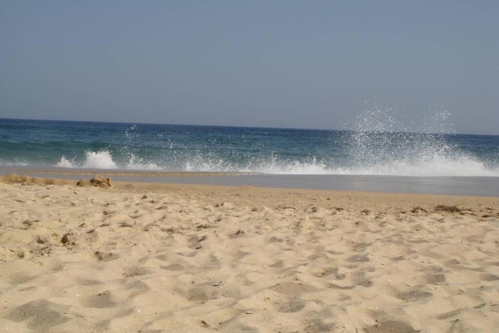 Photo 50