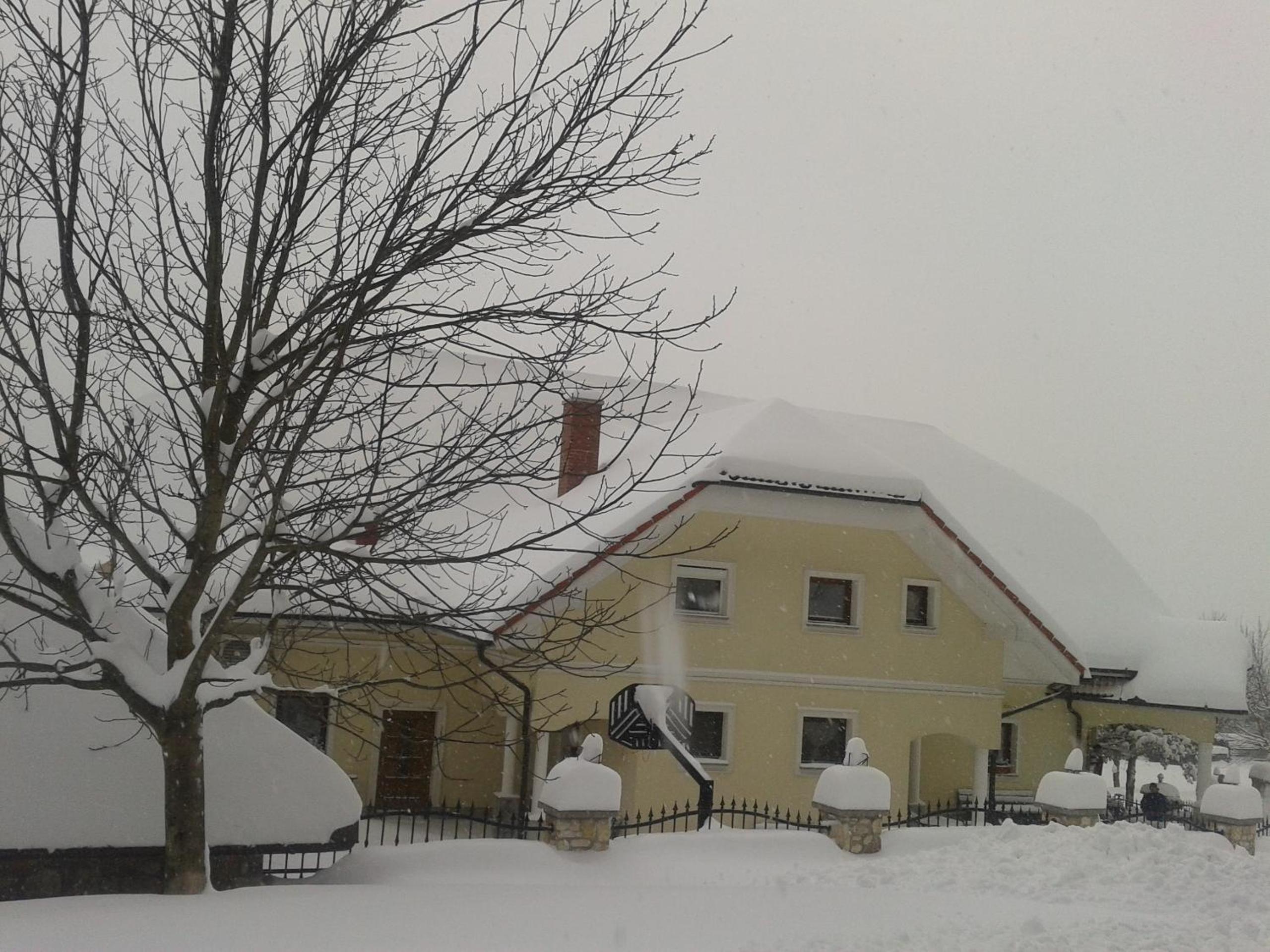 Photo 43