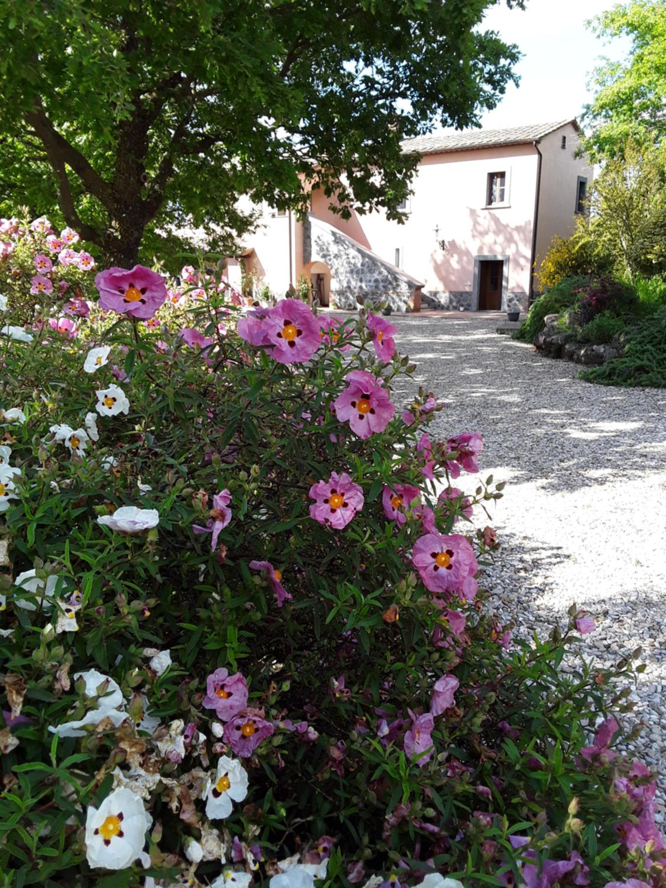 LaPorcilaia view 3