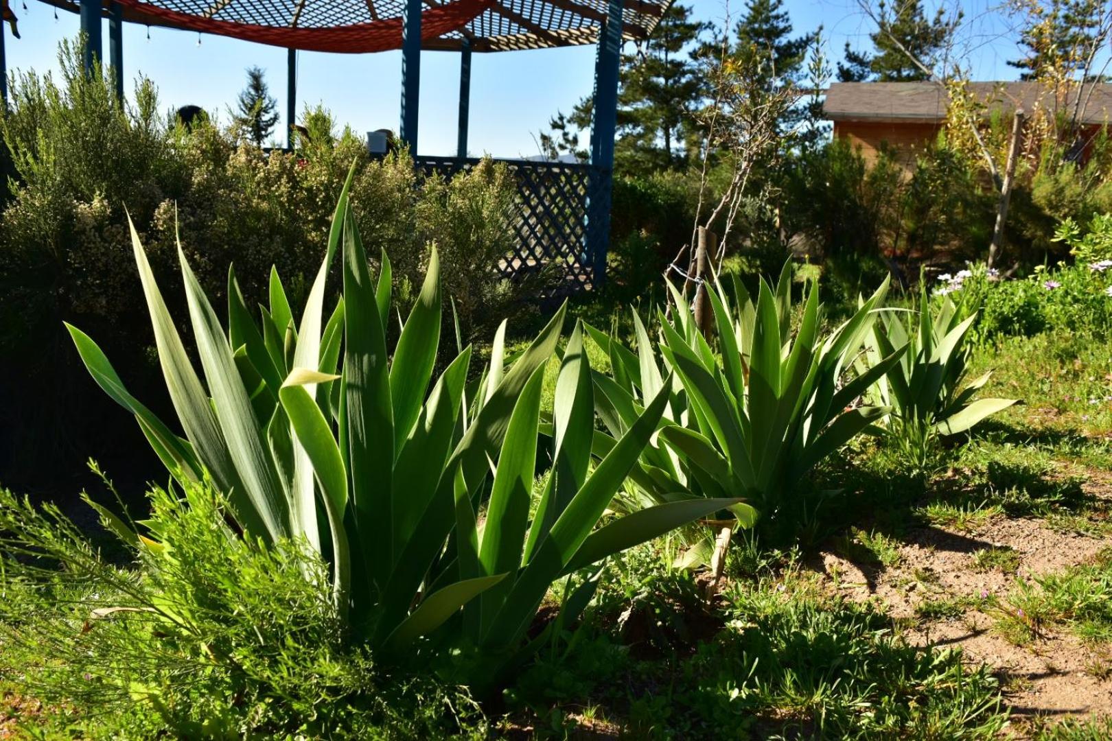 Photo 7