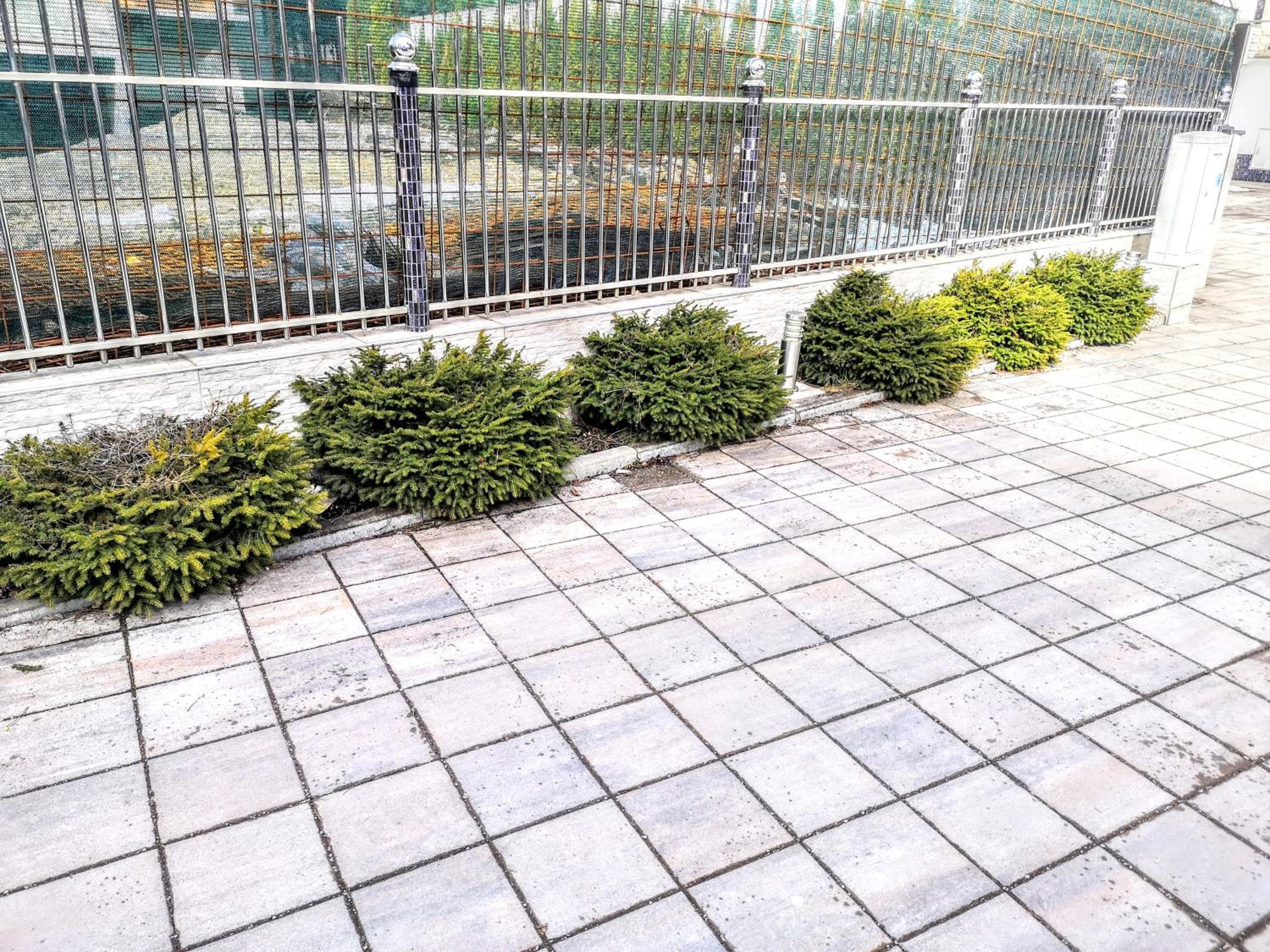 Photo 48