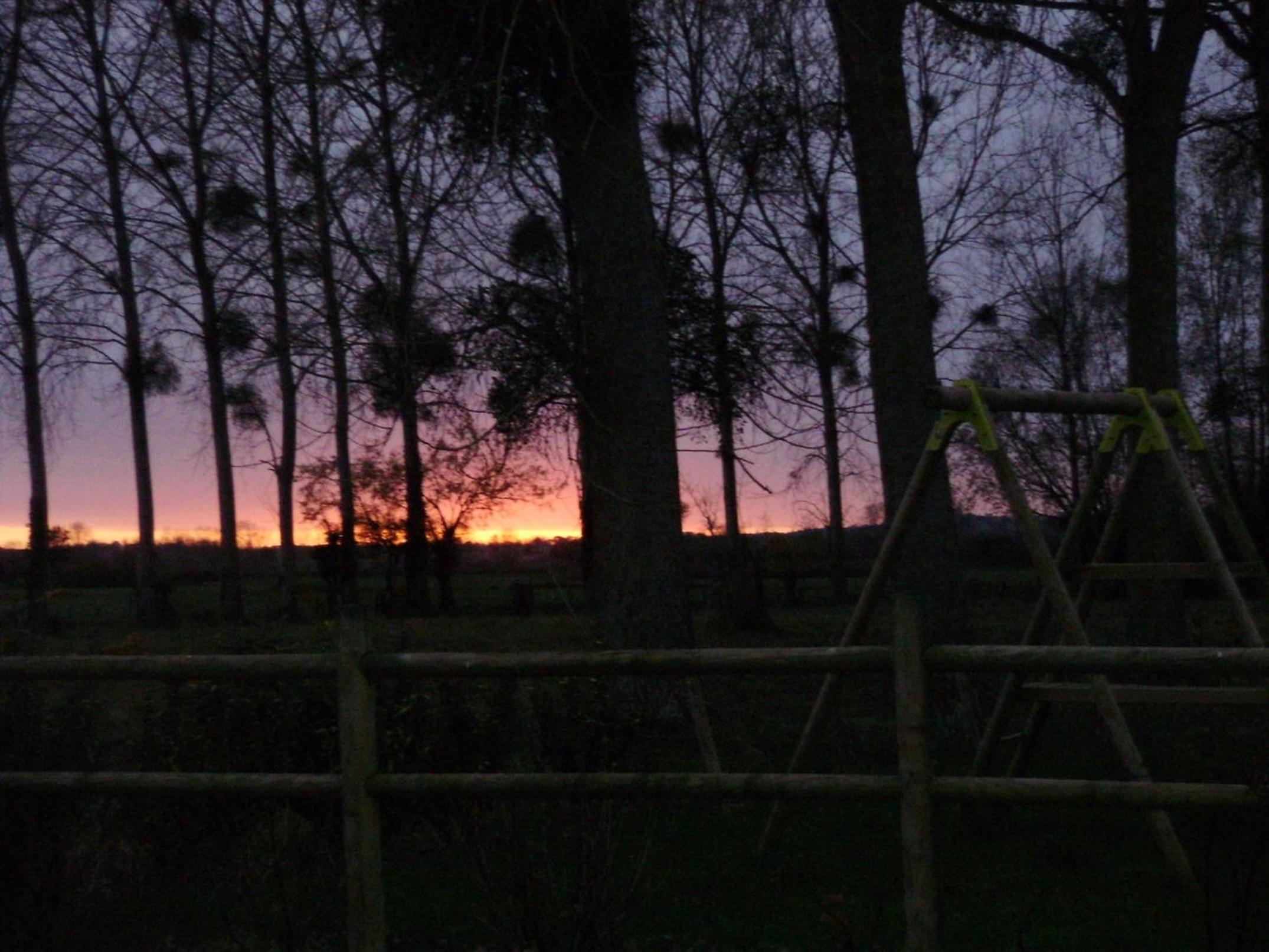 Photo 44
