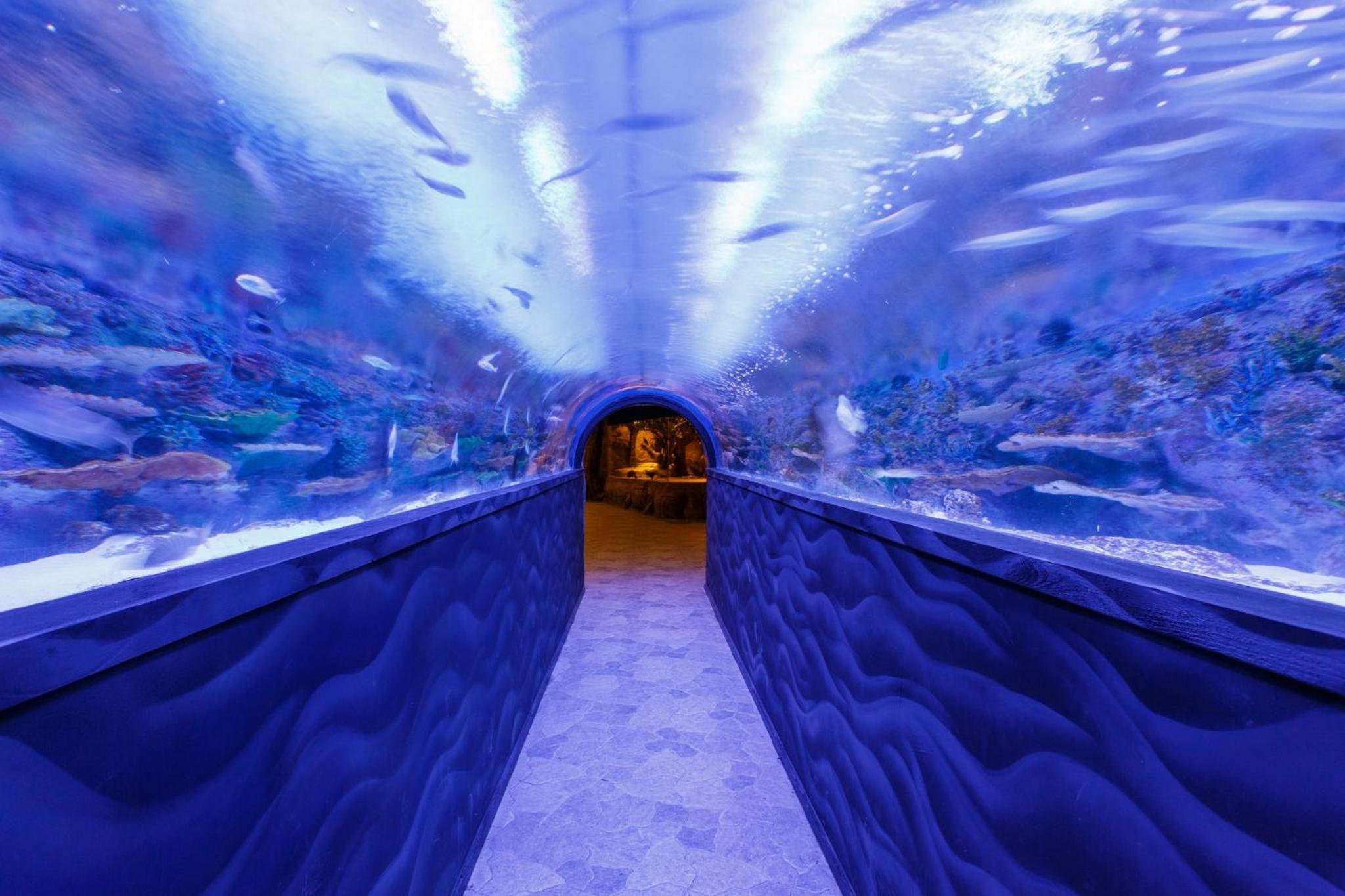 Vialand Palace Otel - Image 28