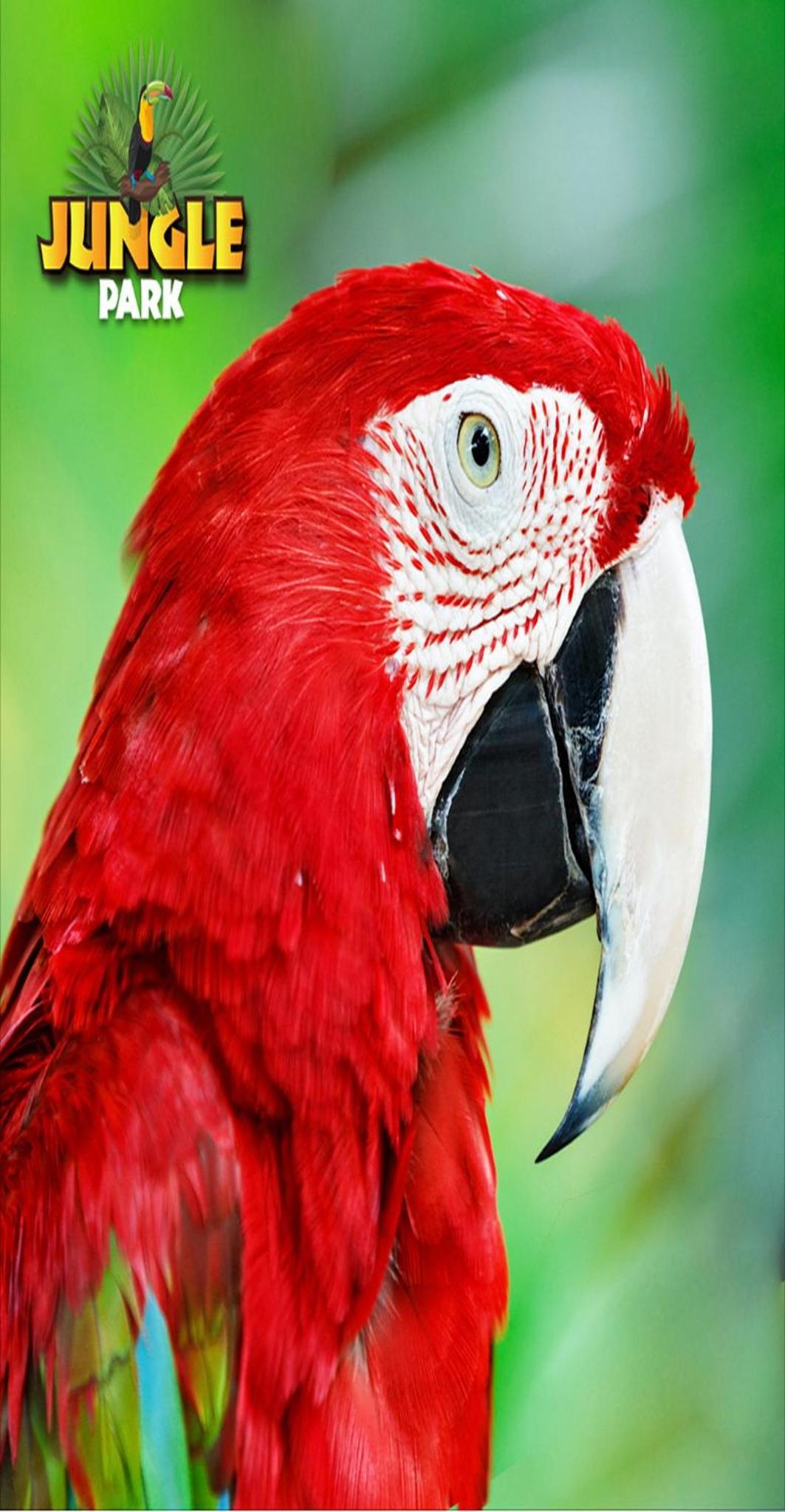 Vialand Palace Otel - Image 24