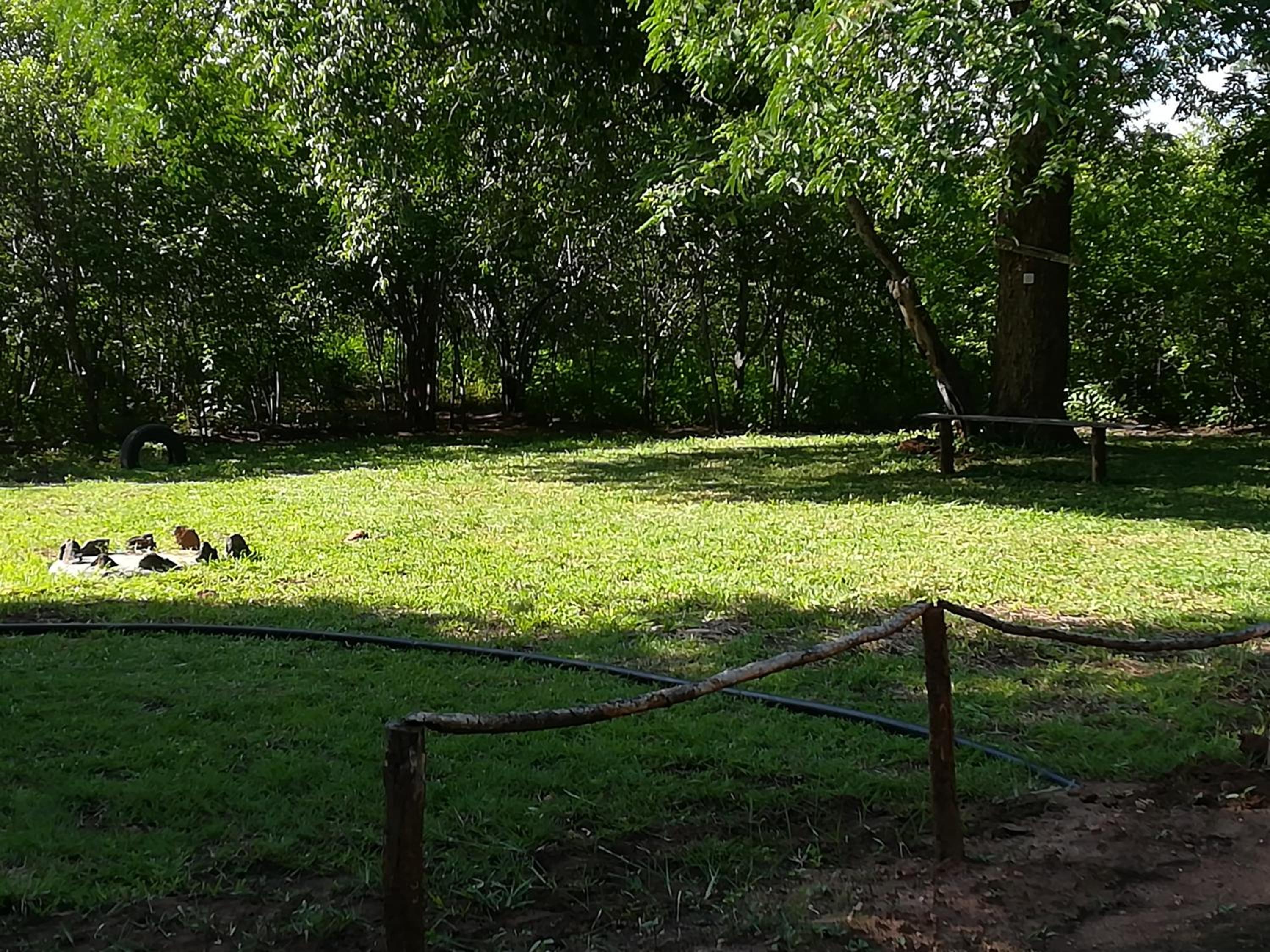 Photo 19