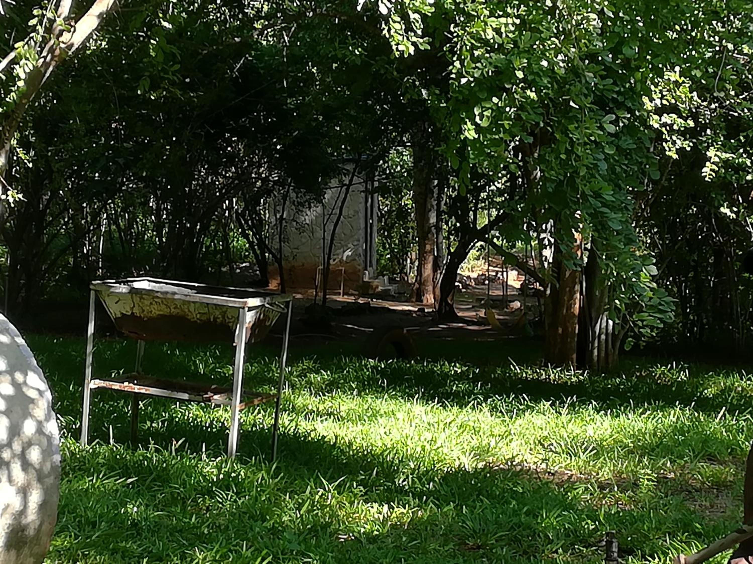 Photo 18