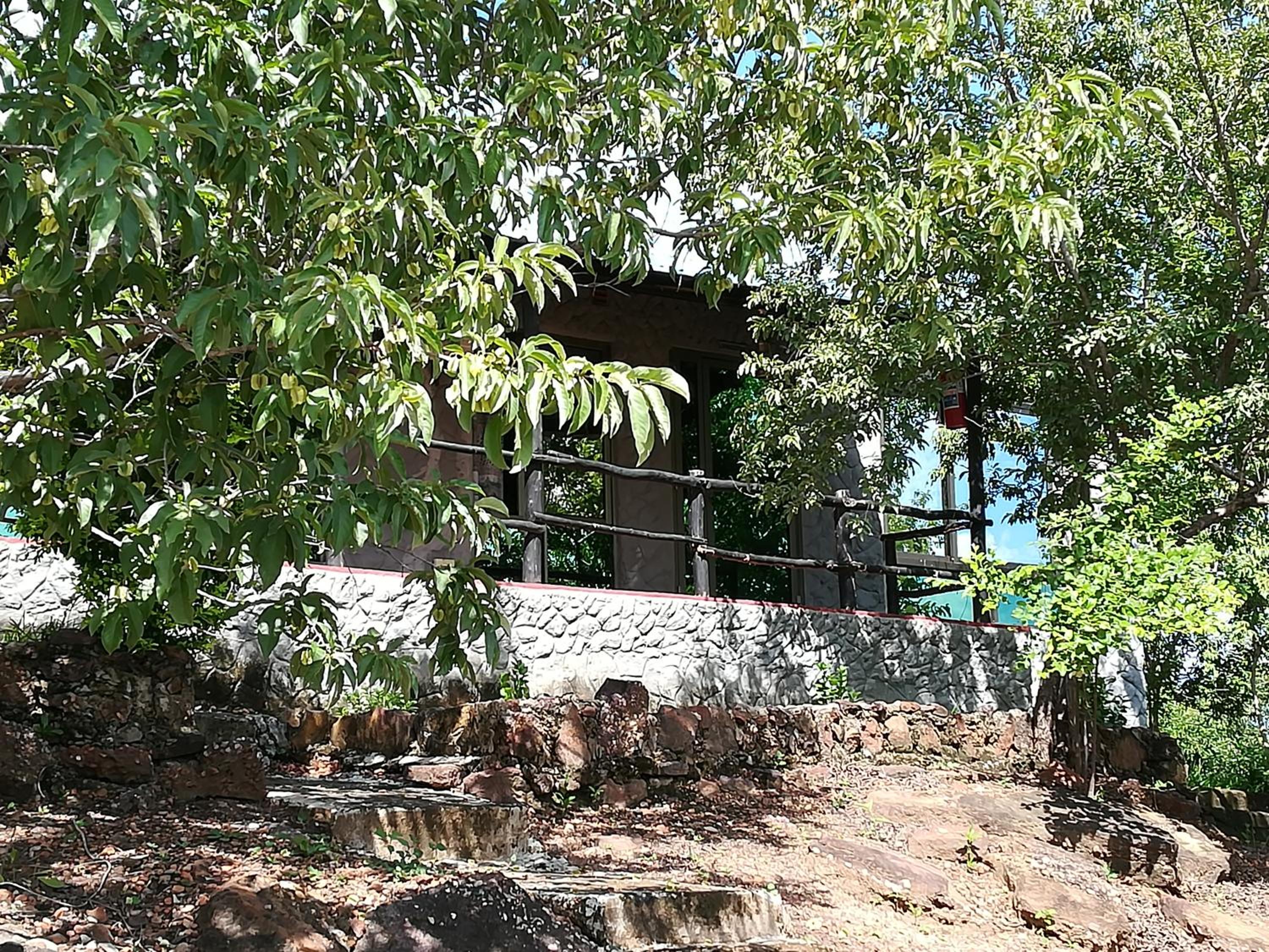Photo 12