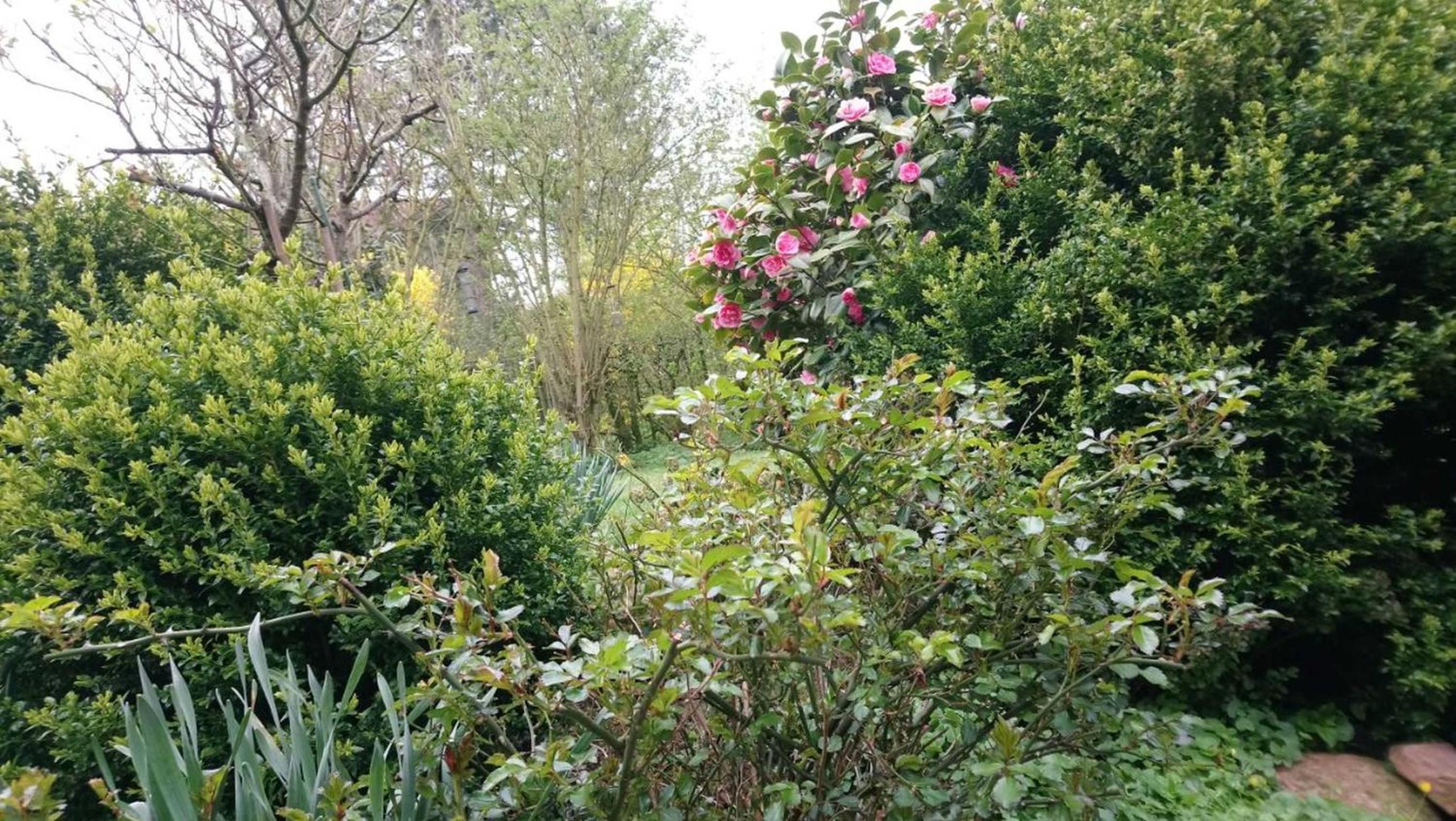 Photo 13