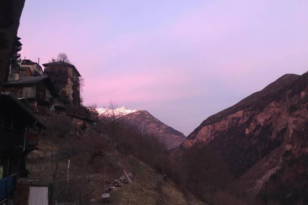 La cabane de l'homme tranquille