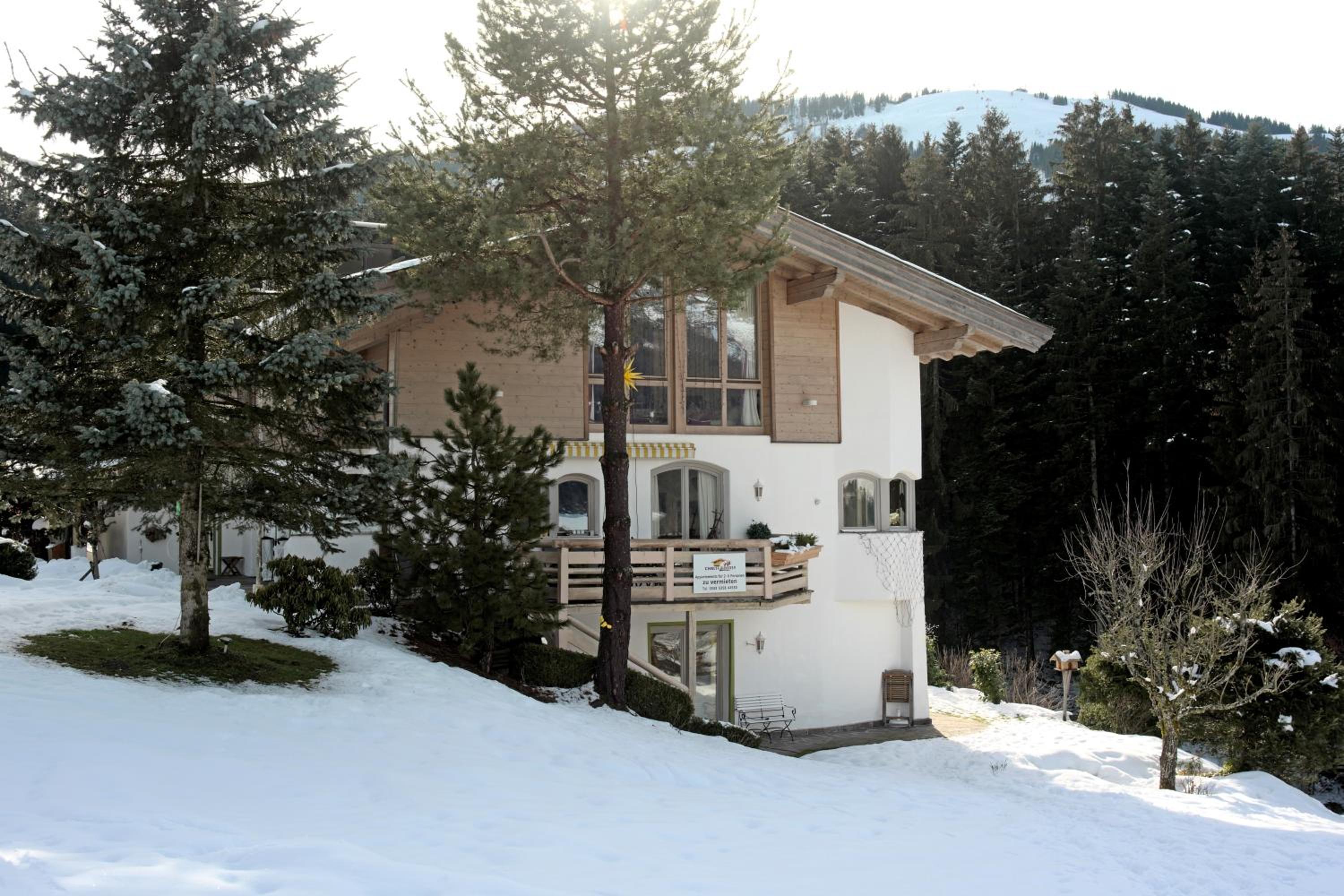 Chalet Grizzly view 5