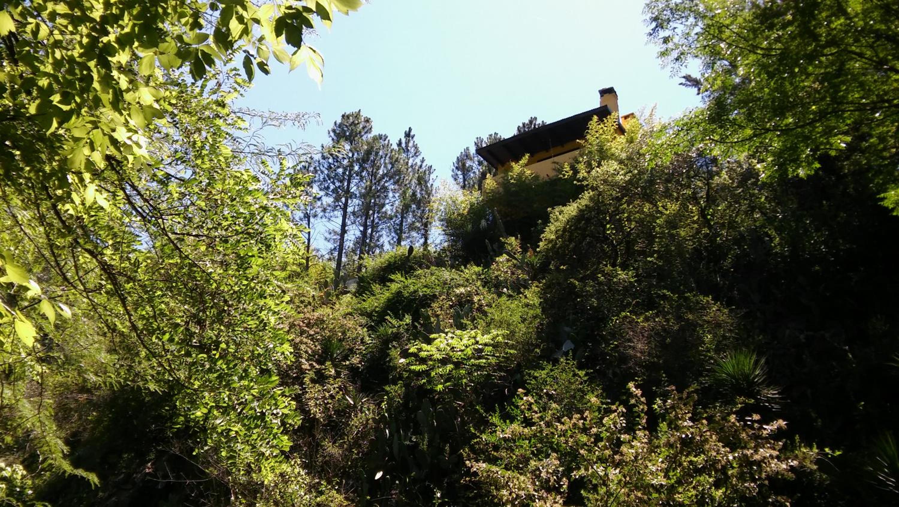 Rancho Taxco